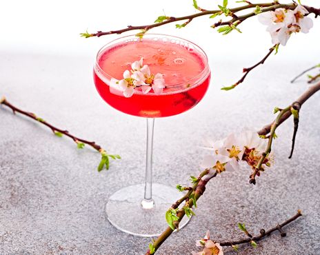 Коктейль Michelle's drink фото к рецепту