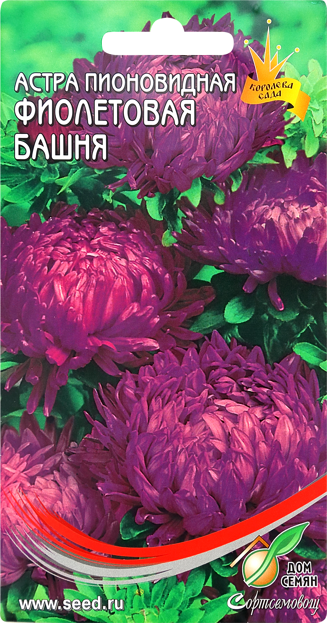 Изображение товара Семена ДОМ СЕМЯН Астра пионовидная Фиолетовая башня, 0,25г