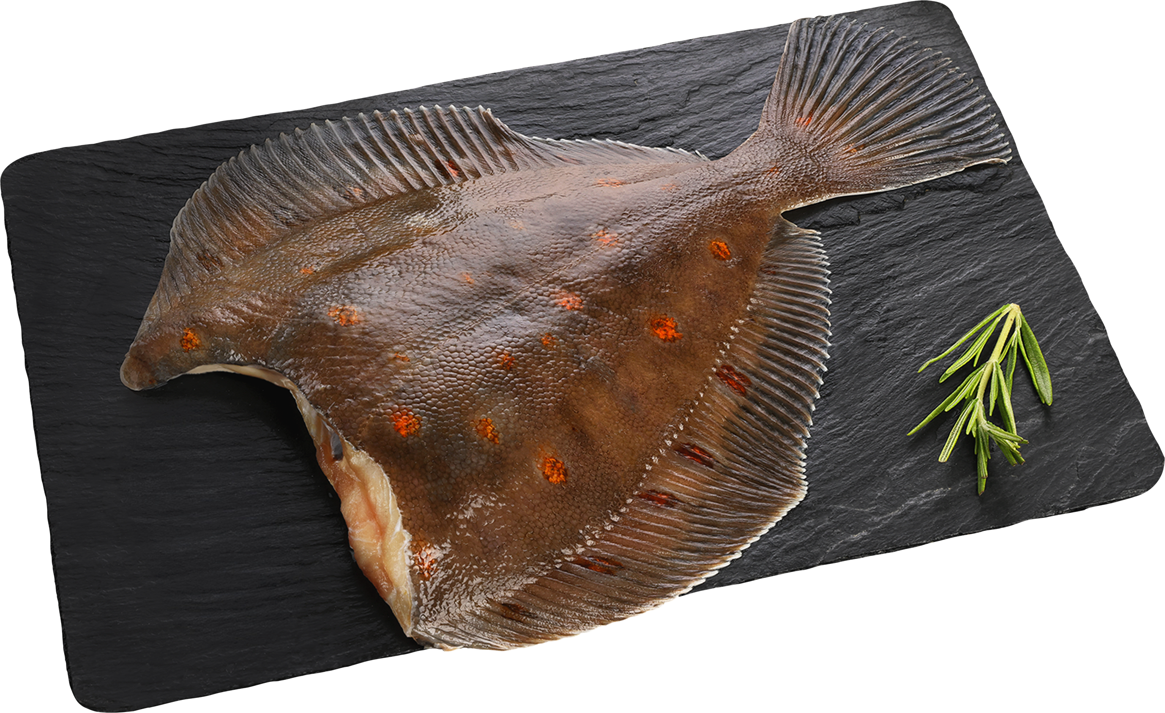 Изображение товара Камбала ЛЕНТА FRESH потрошеная без головы, свежая, весовая