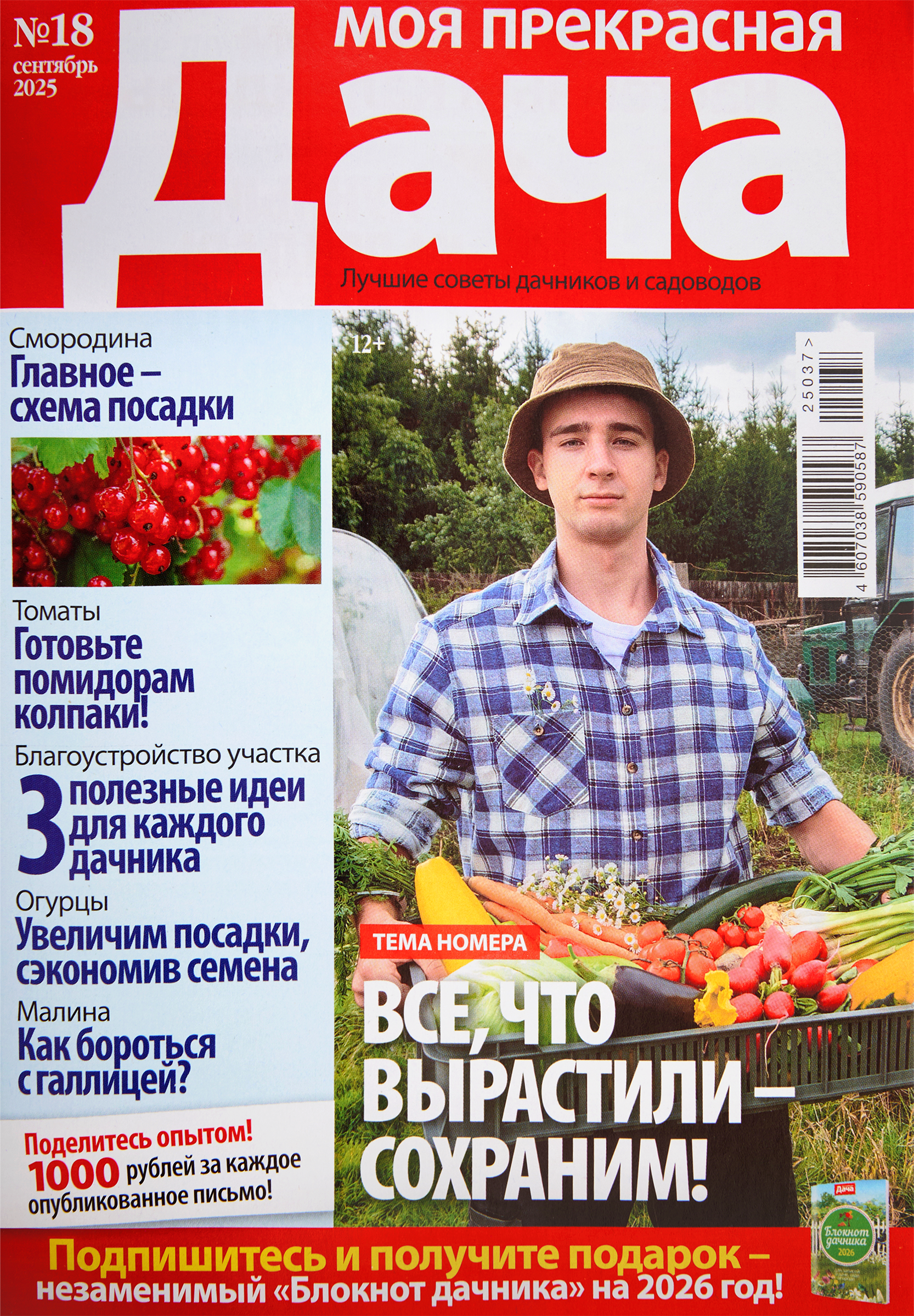 Изображение товара Газета Моя прекрасная дача