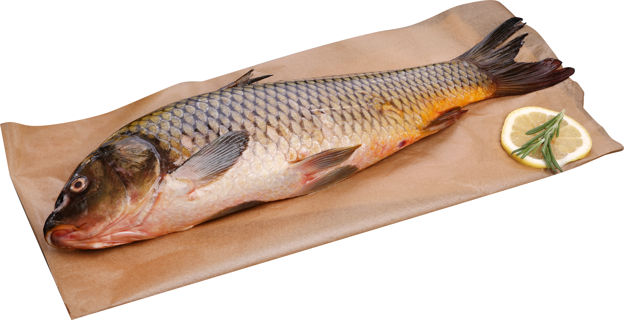 Изображение товара Охлажденный сазан весовой - источник витаминов и минералов, свежий и качественный продукт