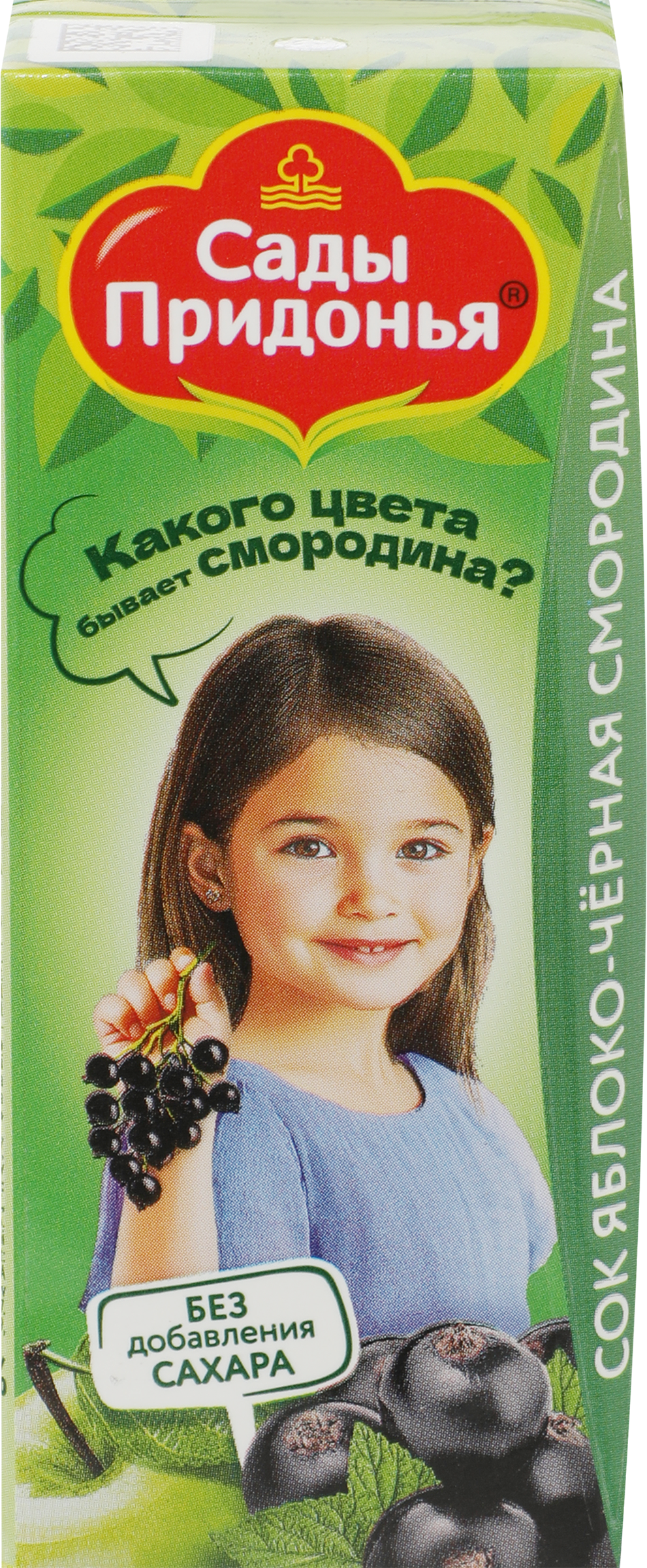 Изображение товара Сок САДЫ ПРИДОНЬЯ Яблоко, черная смородина, с 5 месяцев, 200мл