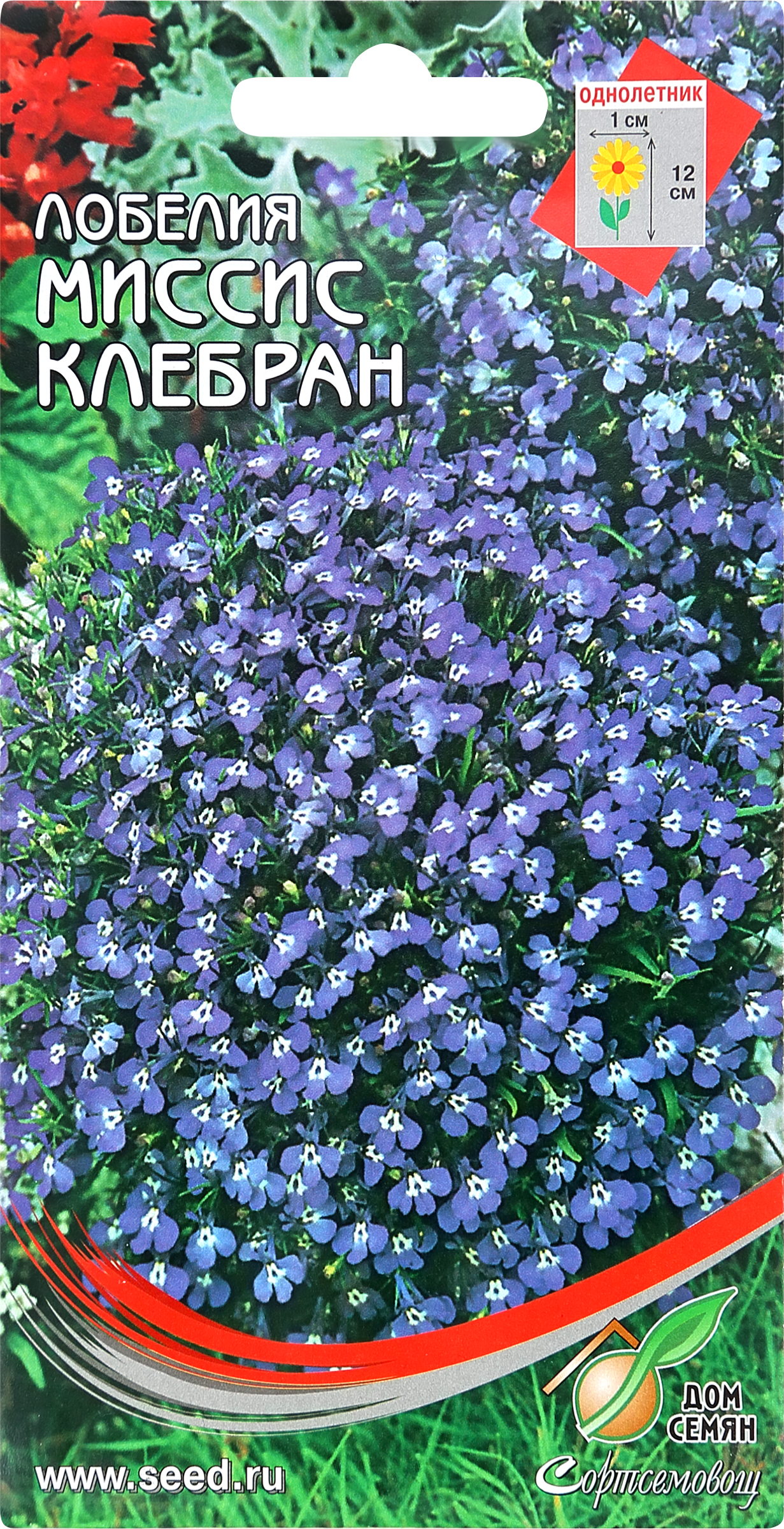 Изображение товара Семена ДОМ СЕМЯН Лобелия Мисс Клербан, 0,1г
