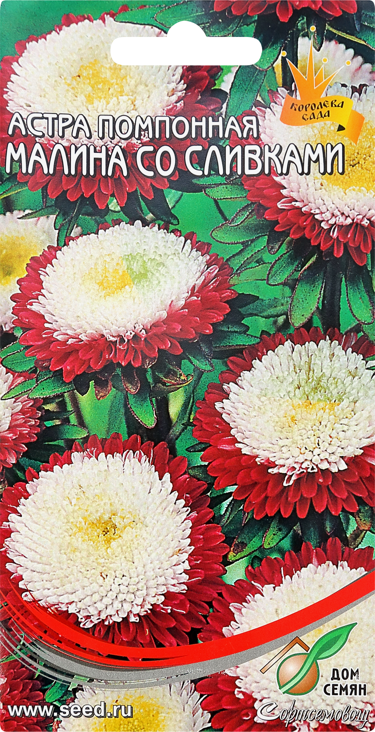 Изображение товара Семена ДОМ СЕМЯН Астра помпонная Малина со сливками, 0,3г