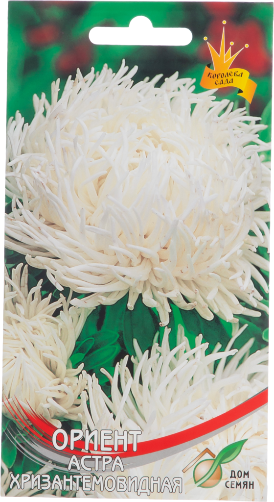 Изображение товара Семена Астра хризантемовидная Ориент, белая, 0,3г