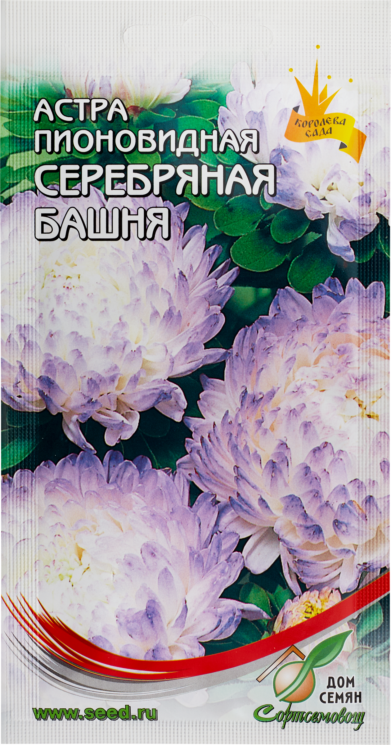 Изображение товара Семена ДОМ СЕМЯН Астра пионовидная Серебряная Башня, 0,3г