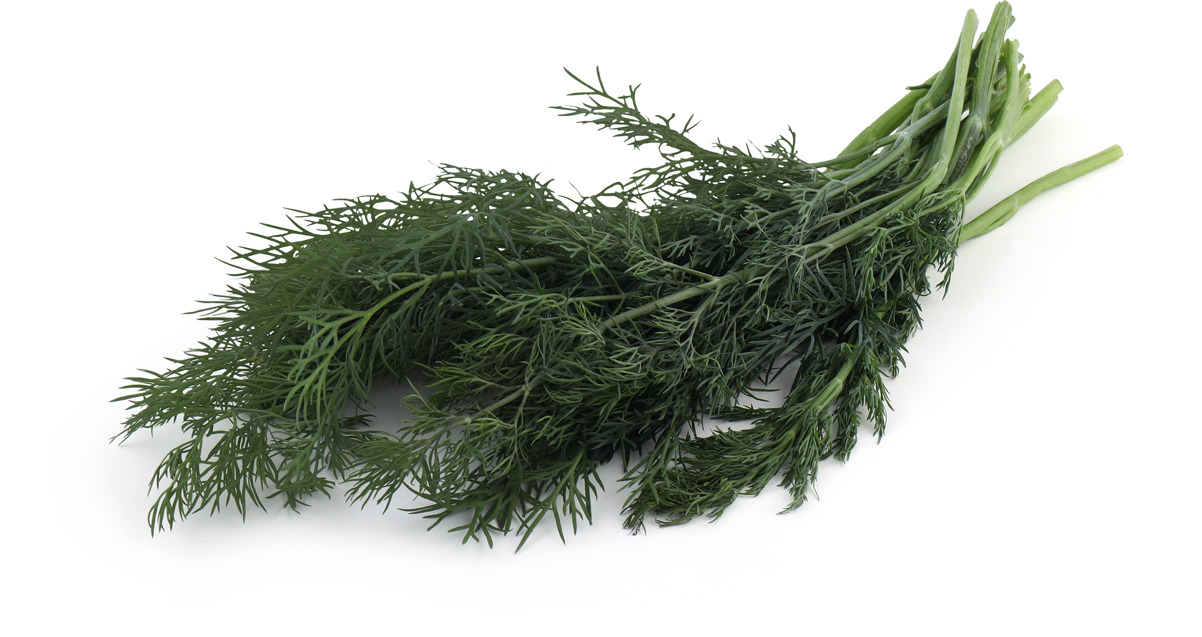 Изображение товара Укроп свежий 30г - натуральная зелень для блюд и салатов