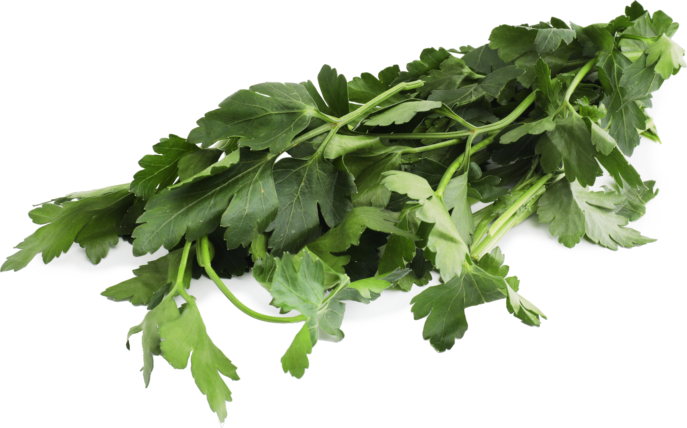 Изображение товара Петрушка 30г натуральная свежая зелень для кулинарии и здоровья