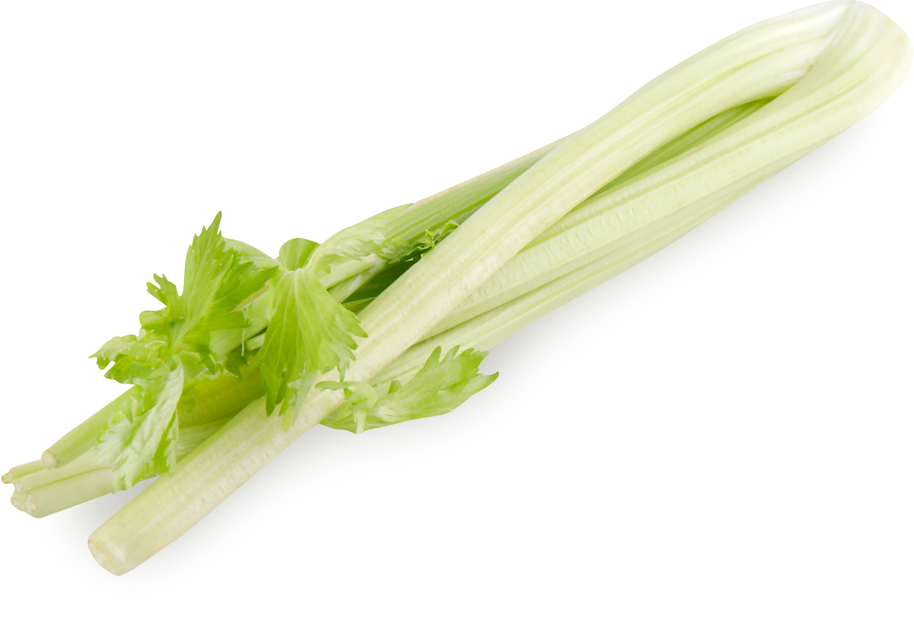 Изображение товара Стебель сельдерея, шт