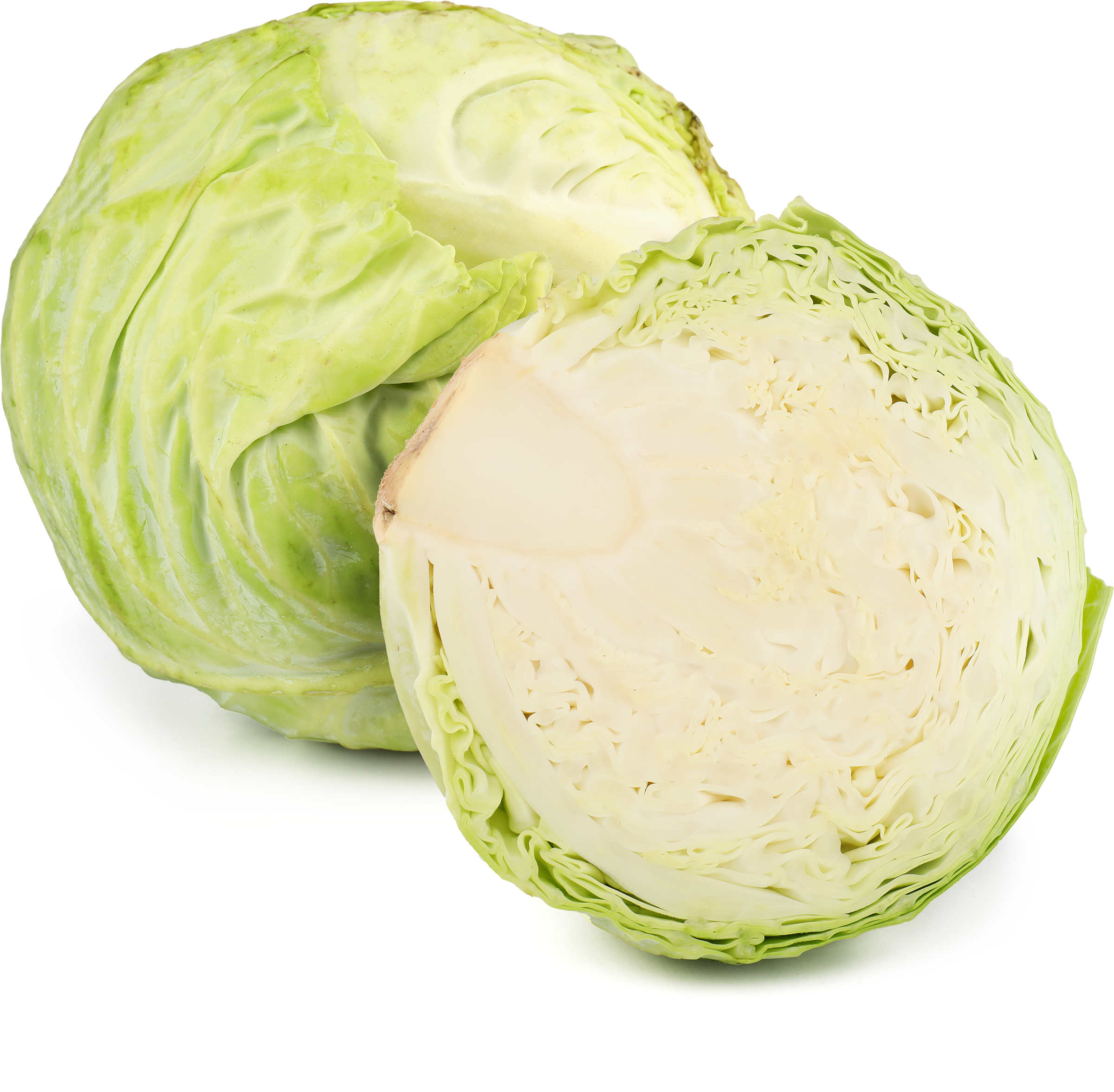 Изображение товара Капуста белокочанная новый урожай, весовая