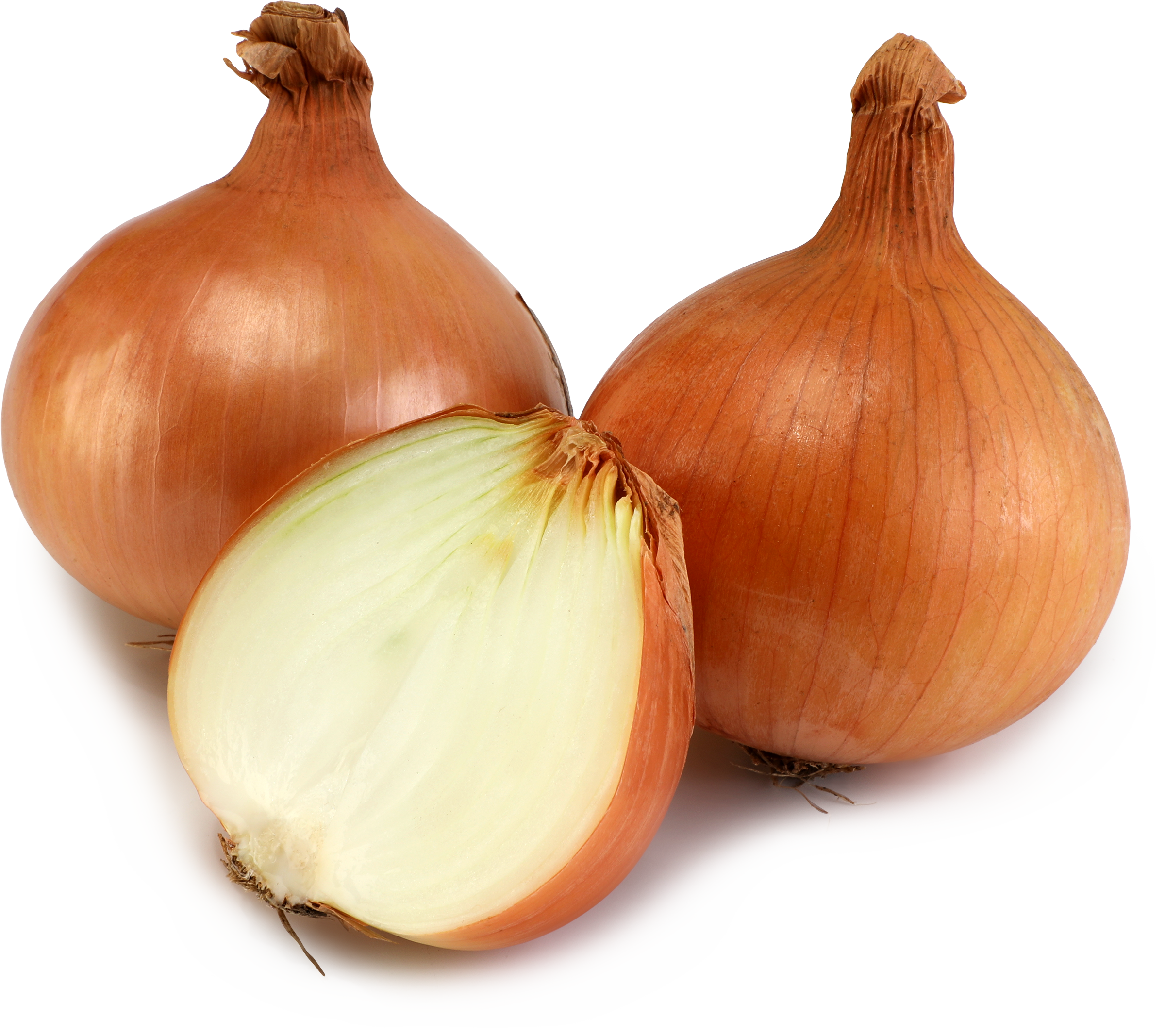 Изображение товара Лук репчатый, весовой