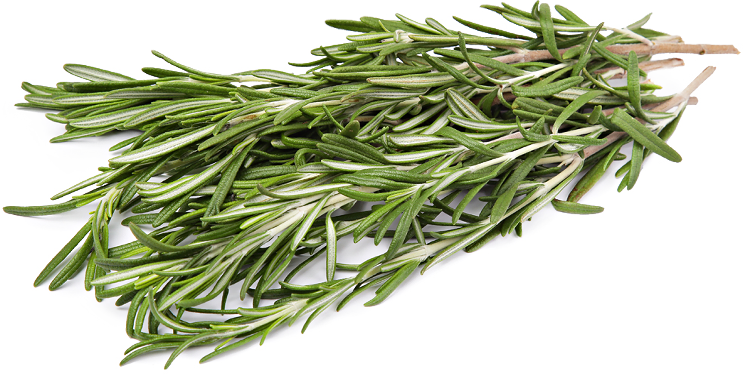 Изображение товара Свежий розмарин 30г натуральный для кулинарии пряная зелень