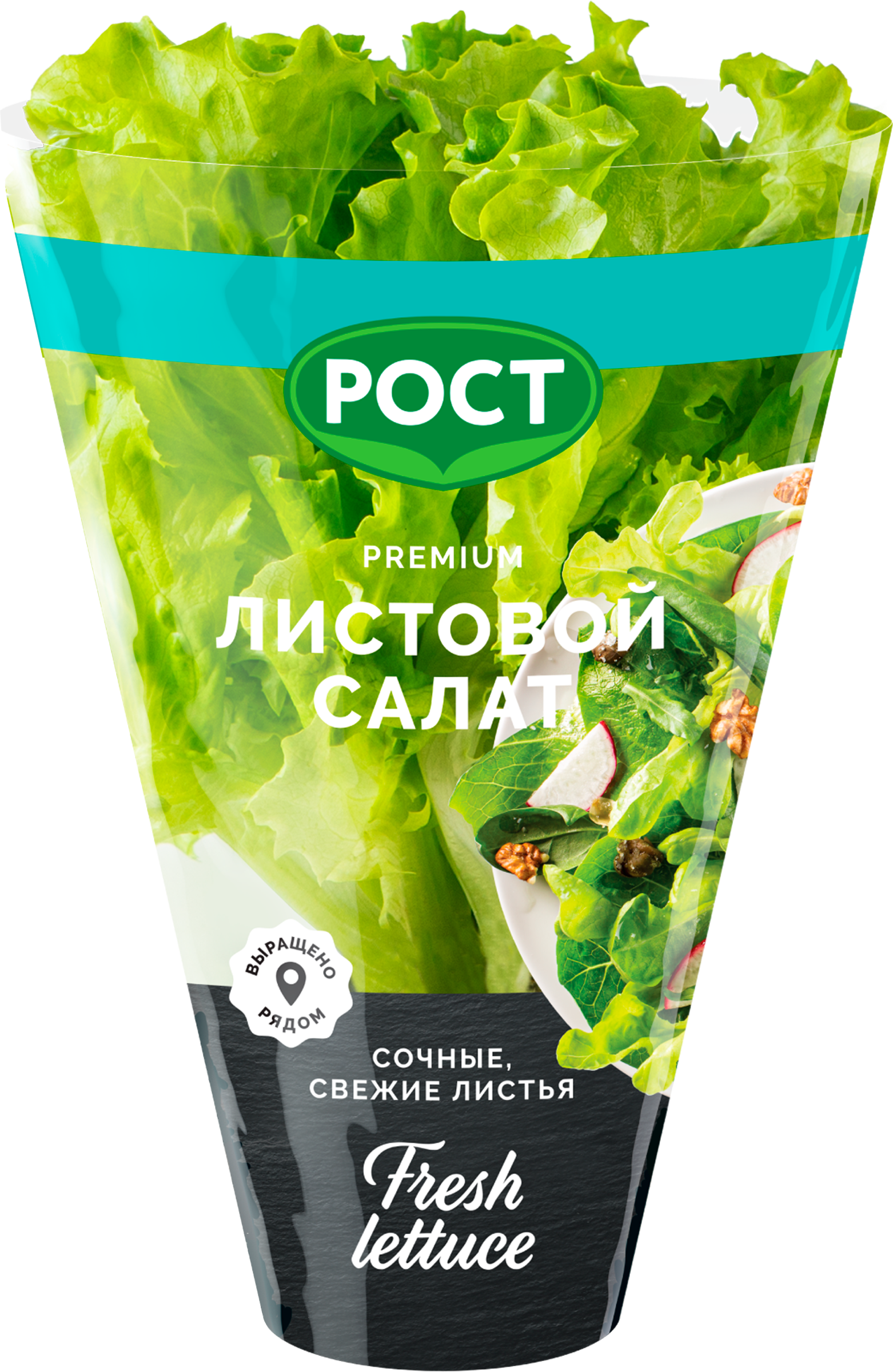 Изображение товара Свежий листовой салат в горшочке 305012 яркий вкус и насыщенность