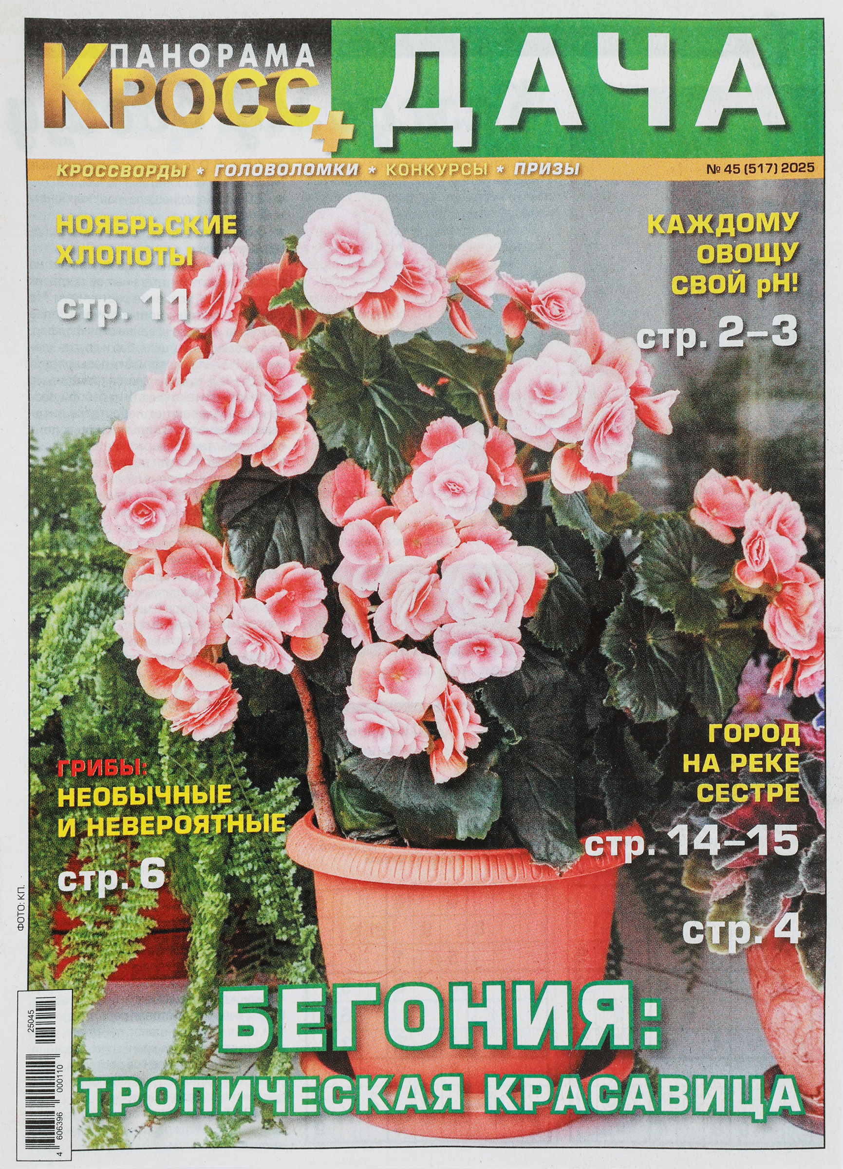 Изображение товара Журнал Панорама Кросс