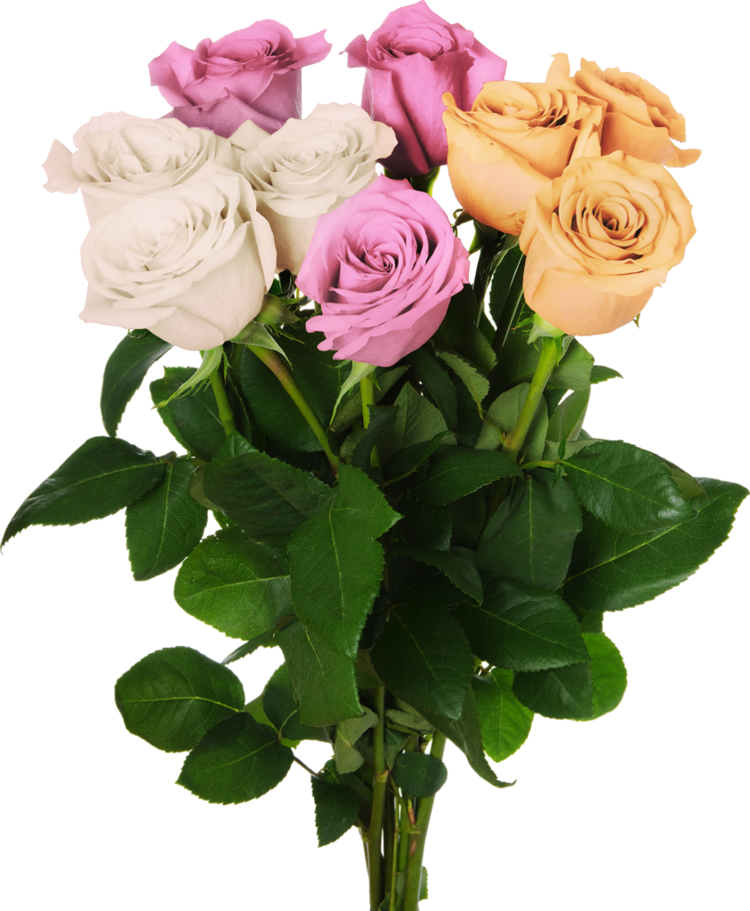 Изображение товара Монобукет Роза микс - 9 шикарных роз в крафтовой упаковке