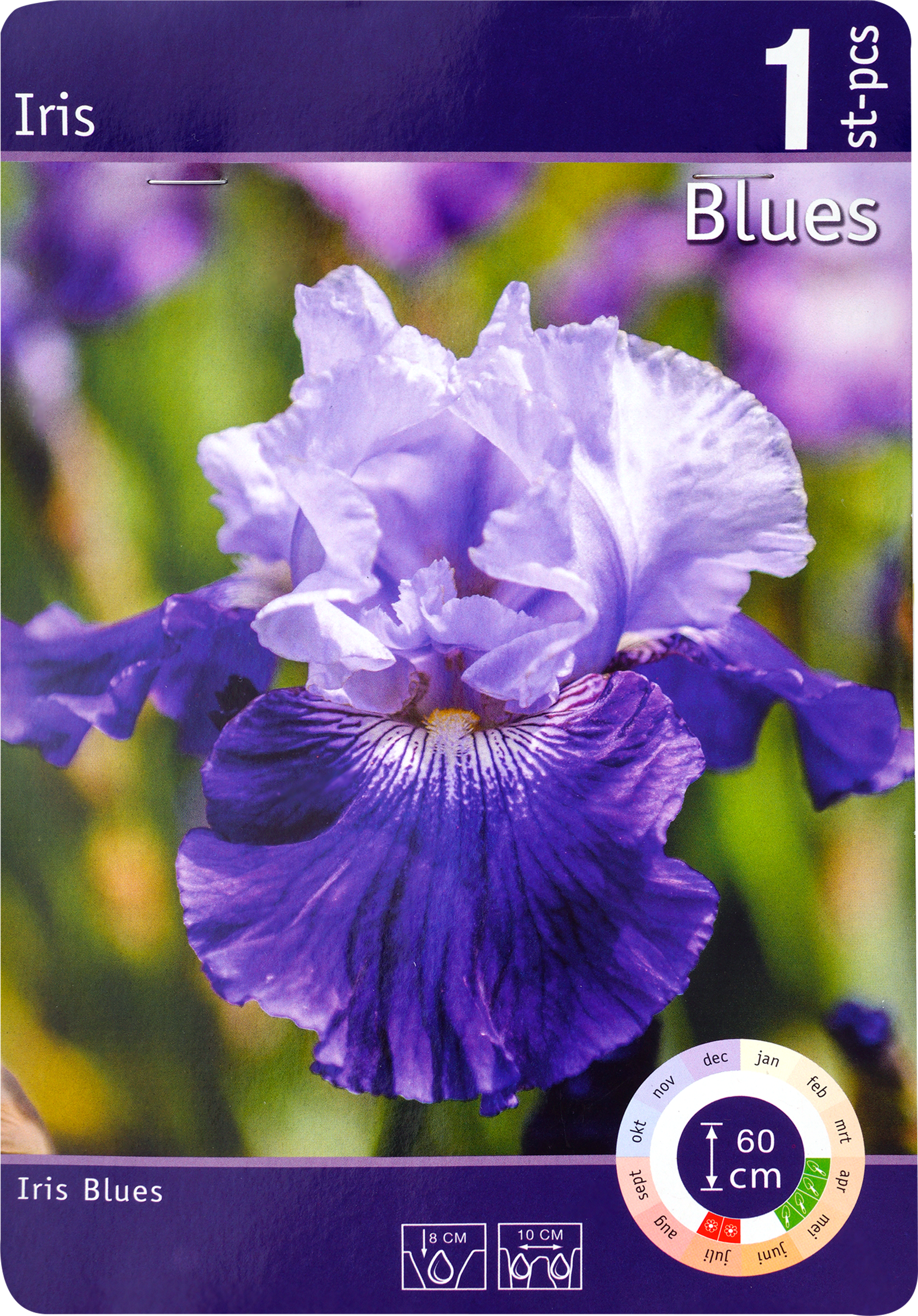 Изображение товара Ирис Блю Берд Вайн - луковица, повторно цветущий, 90 см, DE