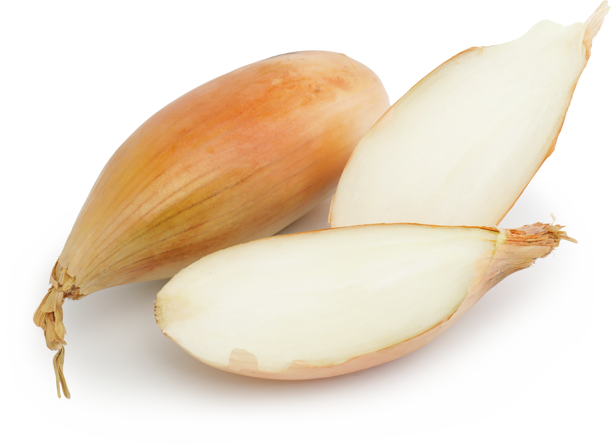 Изображение товара Лук Шалот, весовой - свежий овощ для профессиональной и домашней кухни