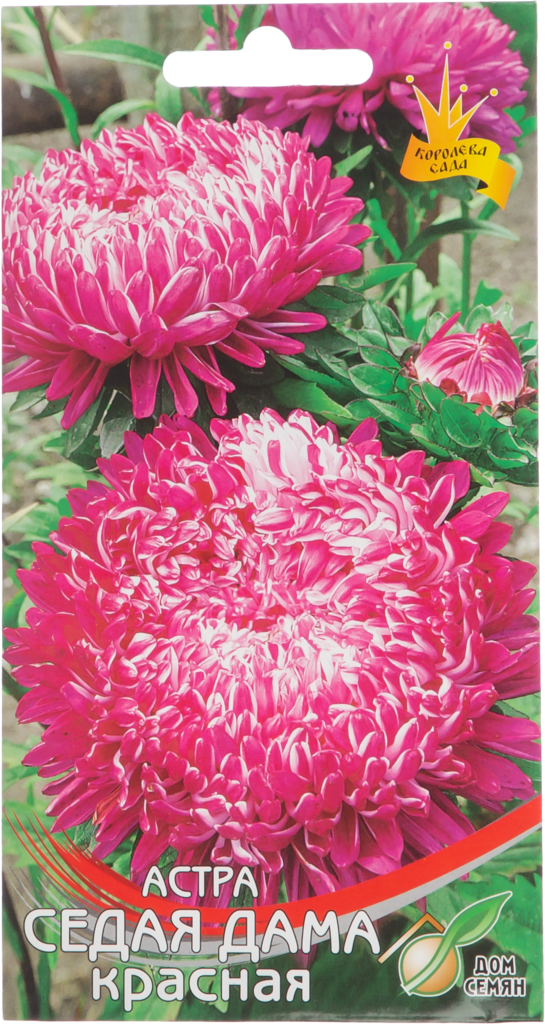 Изображение товара Семена ДОМ СЕМЯН Астра Седая дама, красная, 0,15г