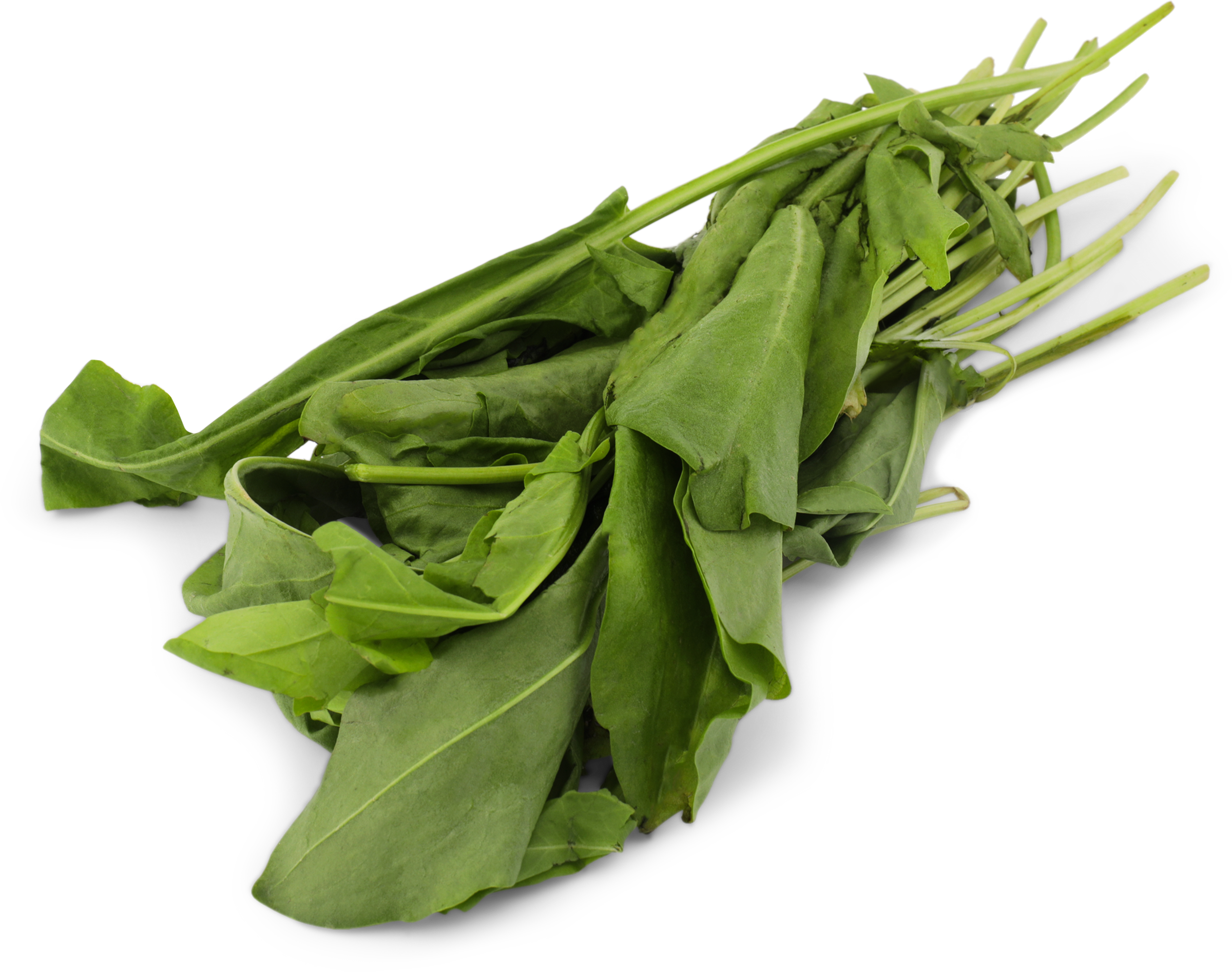 Изображение товара Свежий щавель 100г - натуральный зеленый продукт для салатов и блюд