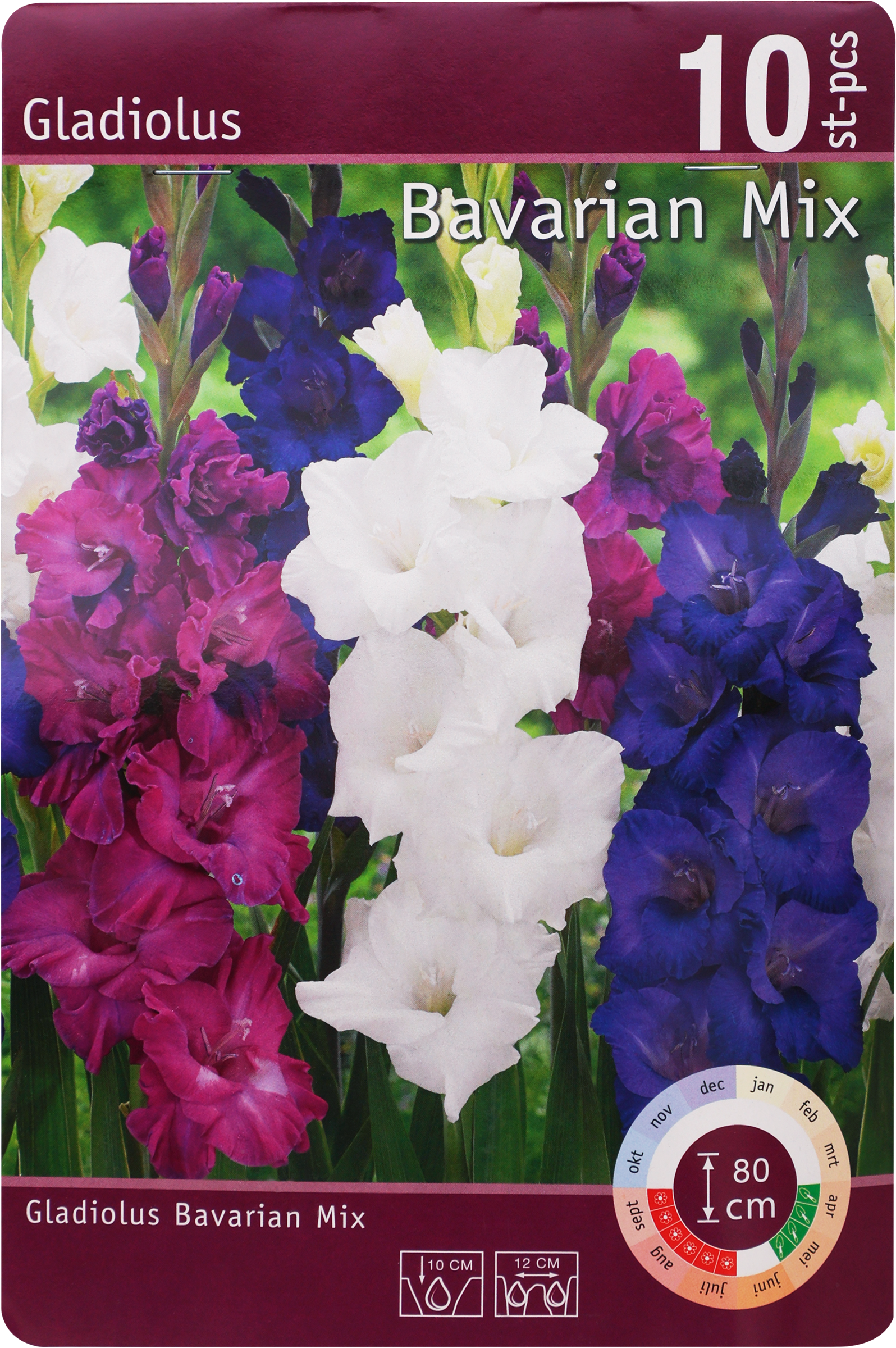 Изображение товара Гладиолус Бавариан микс 10/12, 10 шт - Уайт Просперити/Шугар Плам/Перпл Флора