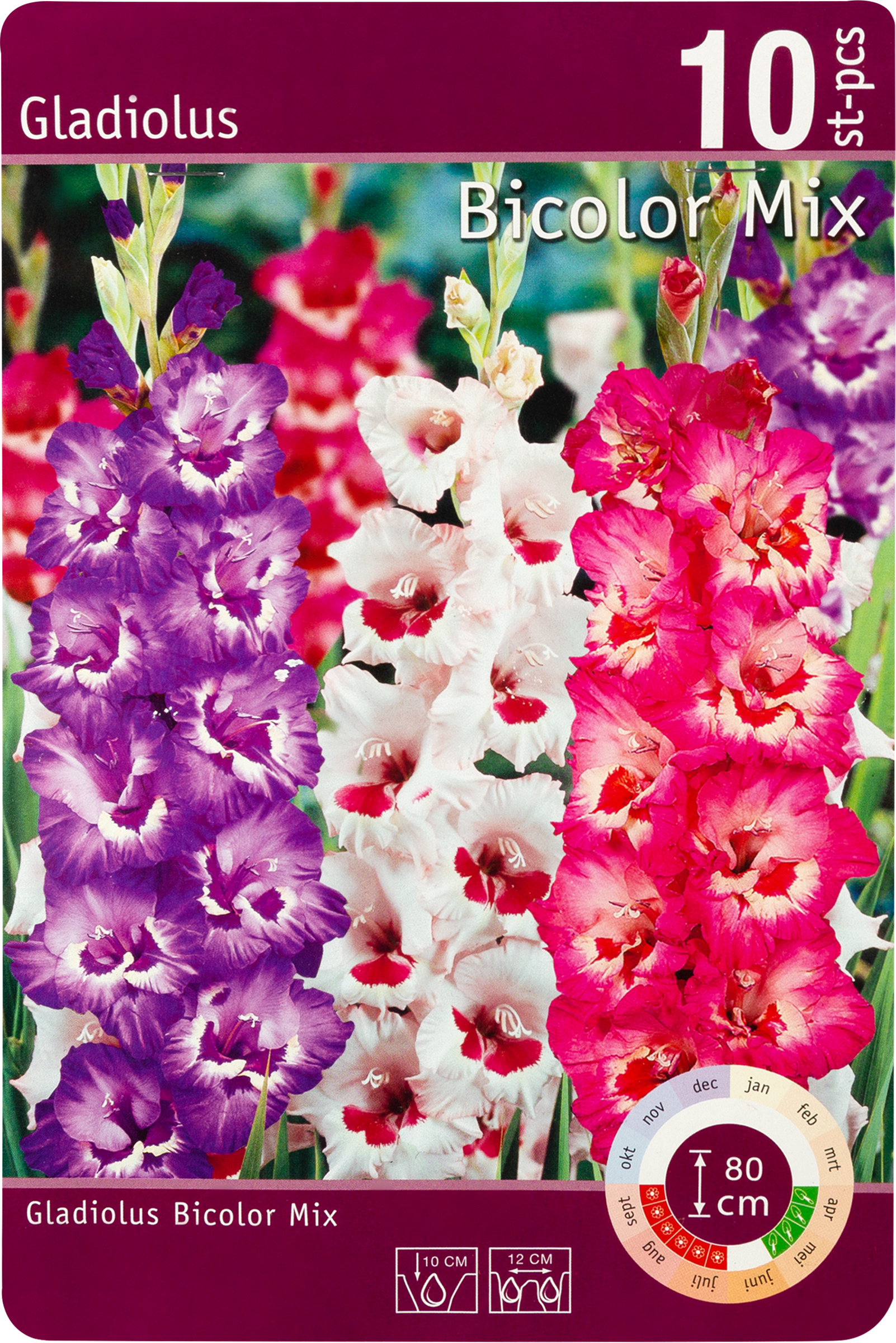 Изображение товара Луковицы Гладиолусы Биколор микс (Виста/Фиорентина/Вандола) 10/12, Арт. 
108/RKG.201.GLD.002.STD, 10шт