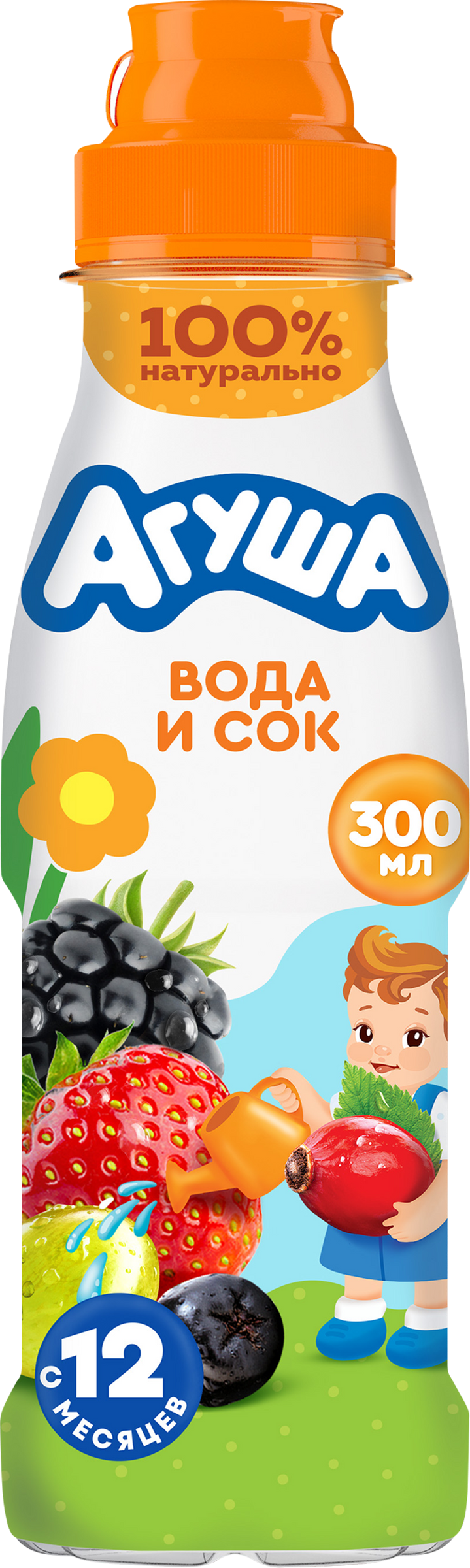 Изображение товара Детский натуральный напиток АГУША Садовые ягоды 300мл с 12 месяцев
