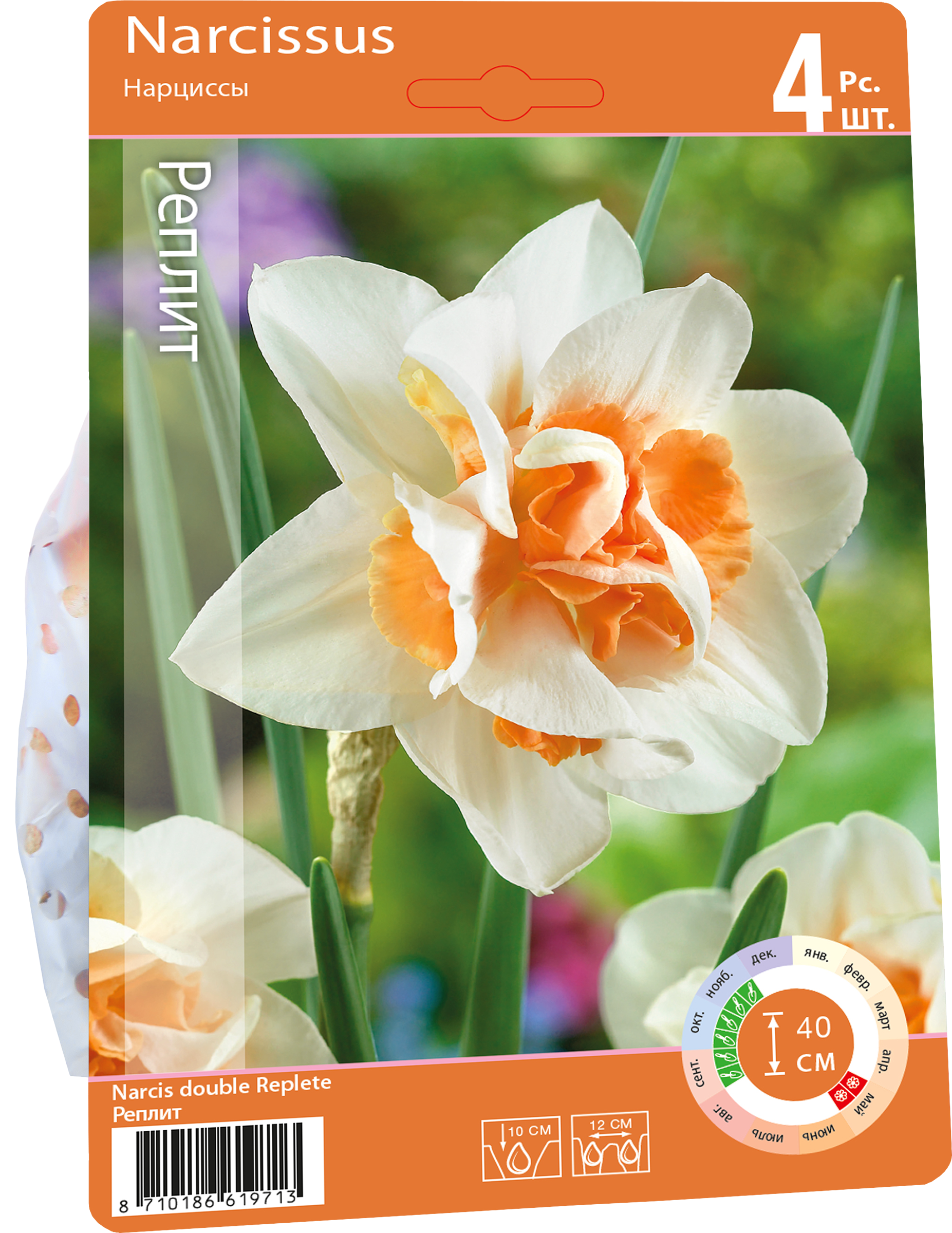Изображение товара Луковицы нарцисса махрового Реплит 12/14 4шт для сада и букетов