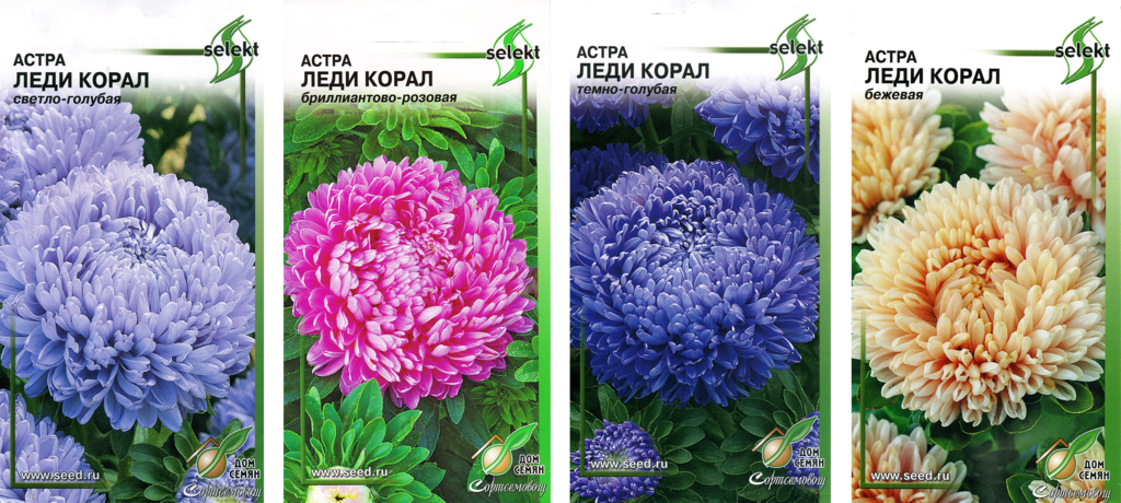 Изображение товара Семена ДОМ СЕМЯН Астра для срезки, 0,11г