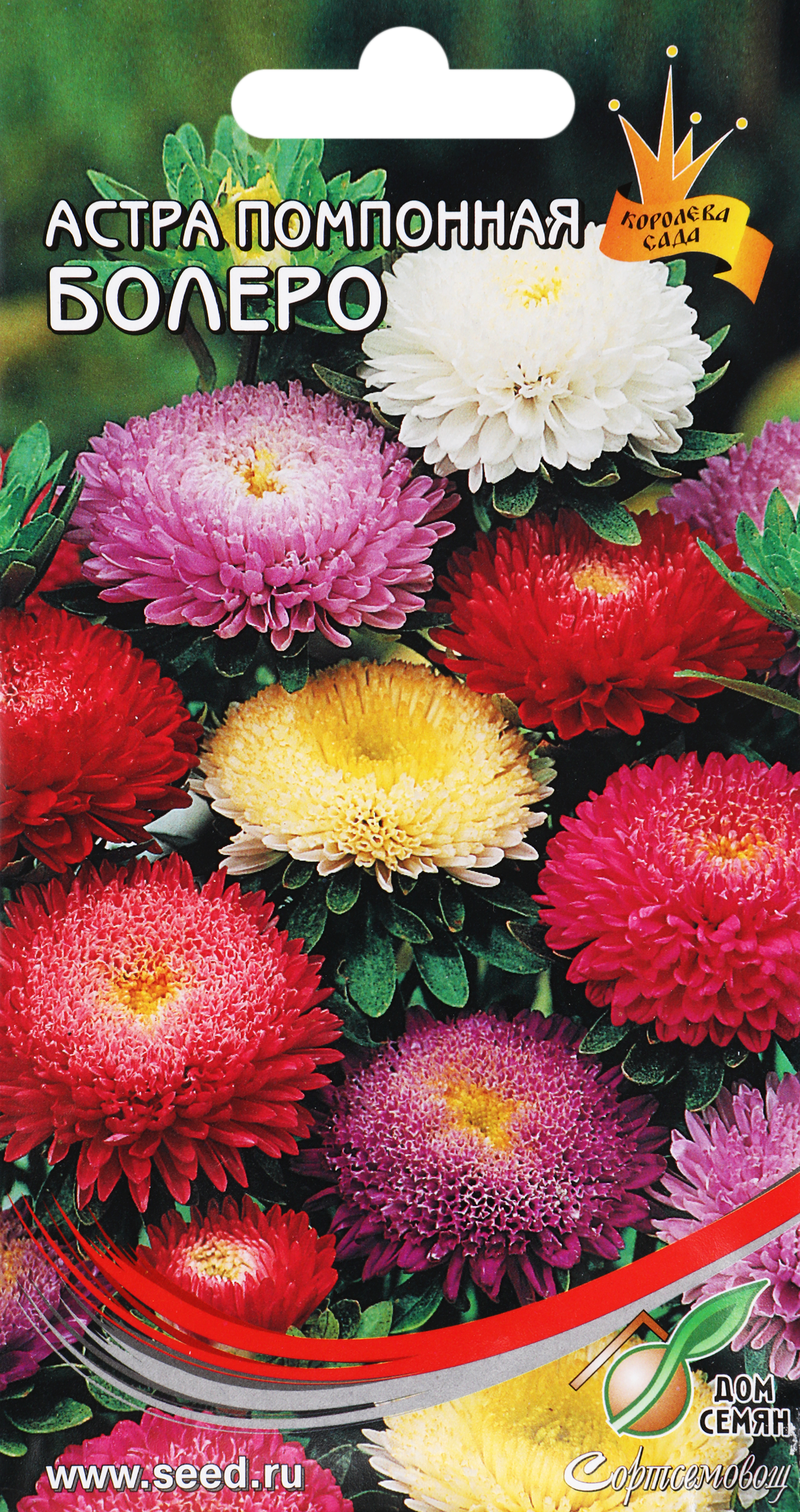 Изображение товара Семена ДОМ СЕМЯН Астра Болеро, 0,25г