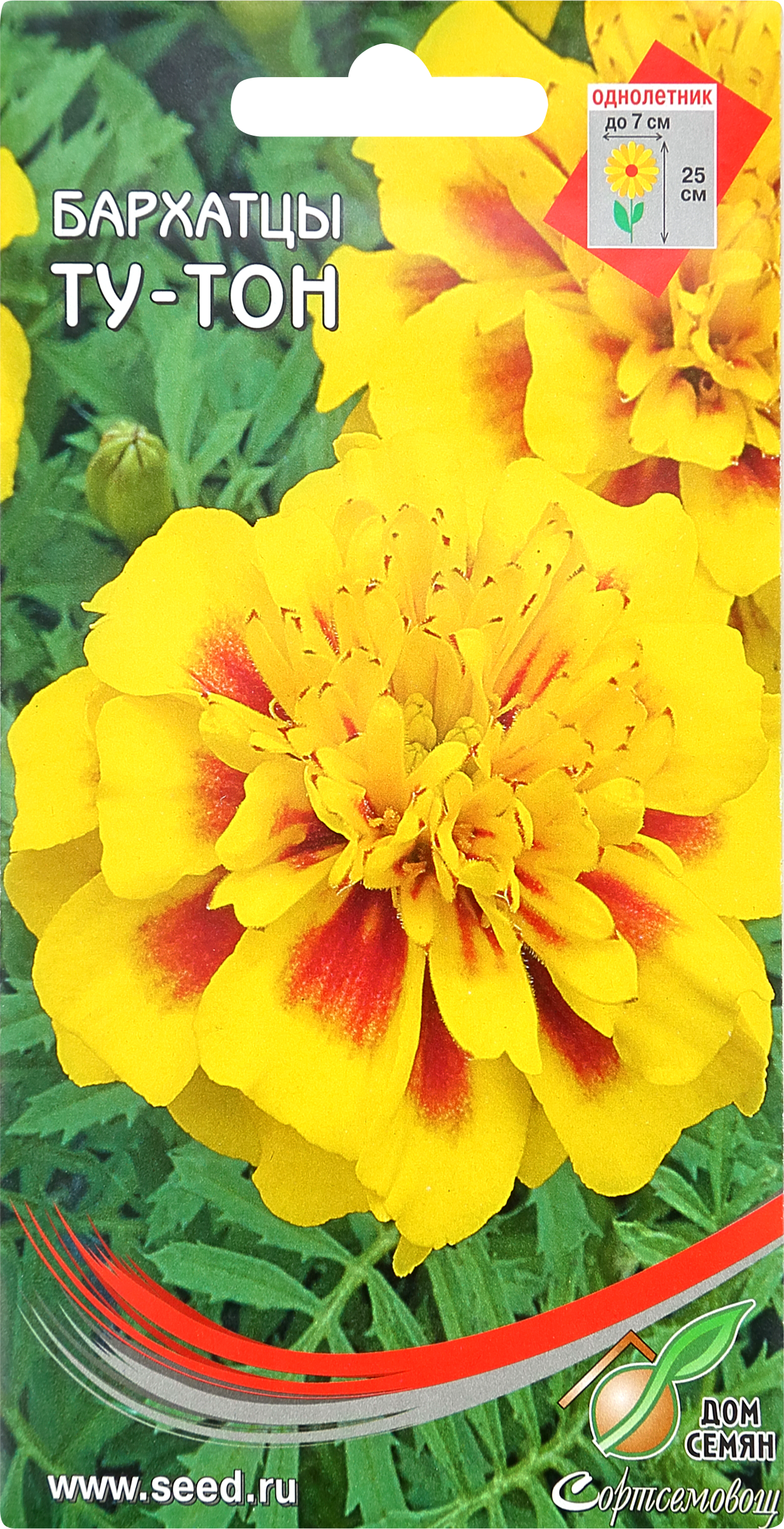 Изображение товара Семена ДОМ СЕМЯН Бархатцы (Тагетес) Ту-Тон, 0,43г