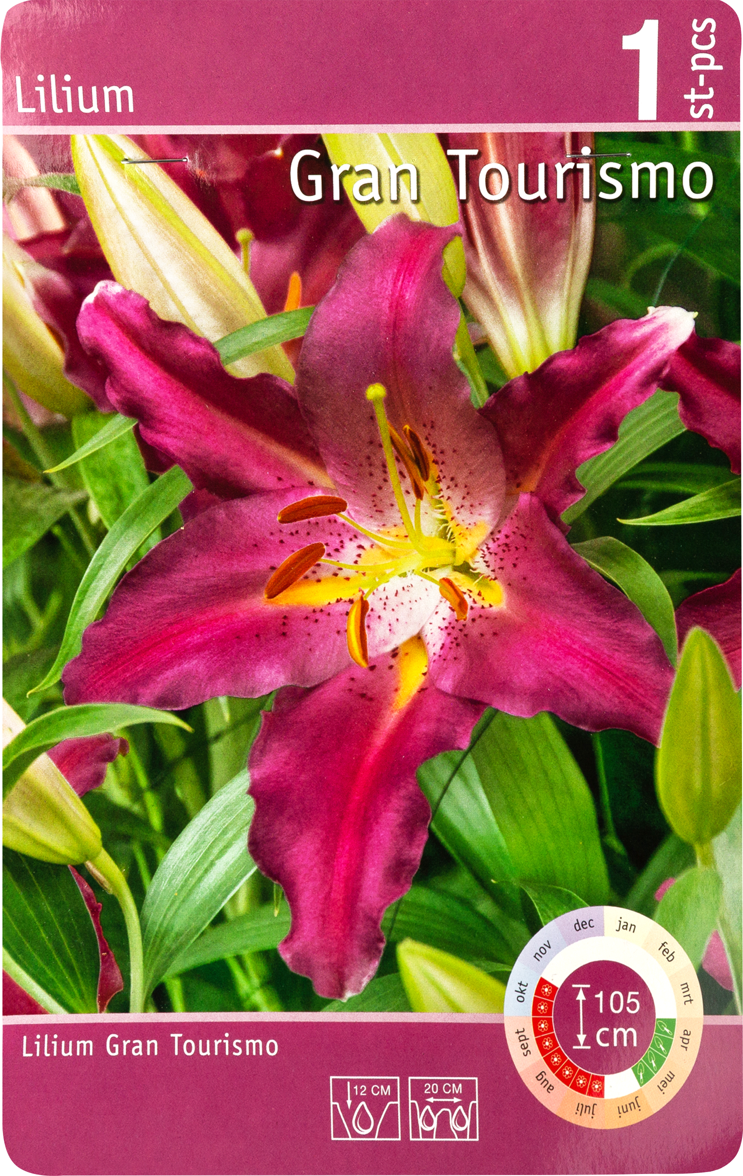 Изображение товара Луковица Лилия Гран Туризмо 16/18, Арт. 61/RKG.201.LEL.001.STD