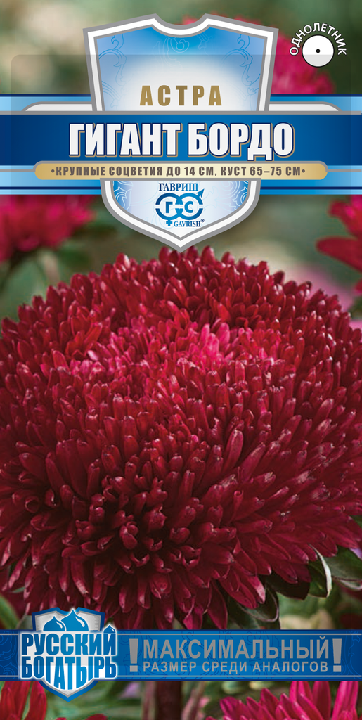 Изображение товара Семена астр Русский богатырь бордо, большой цвет, высота 65-75 см, 0,05 г