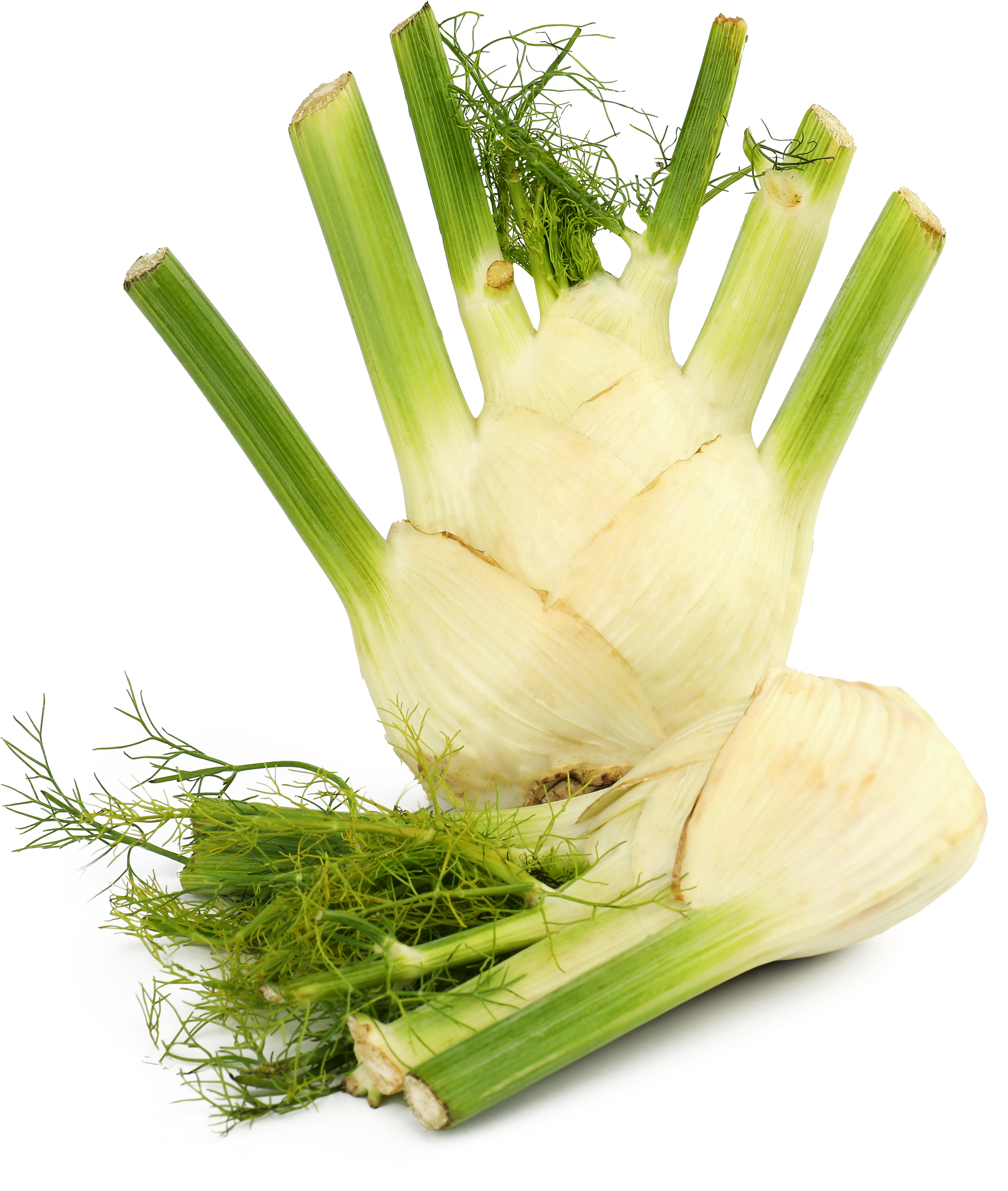 Изображение товара Фенхель весовой натуральная пряность с ярким ароматом ГОСТ