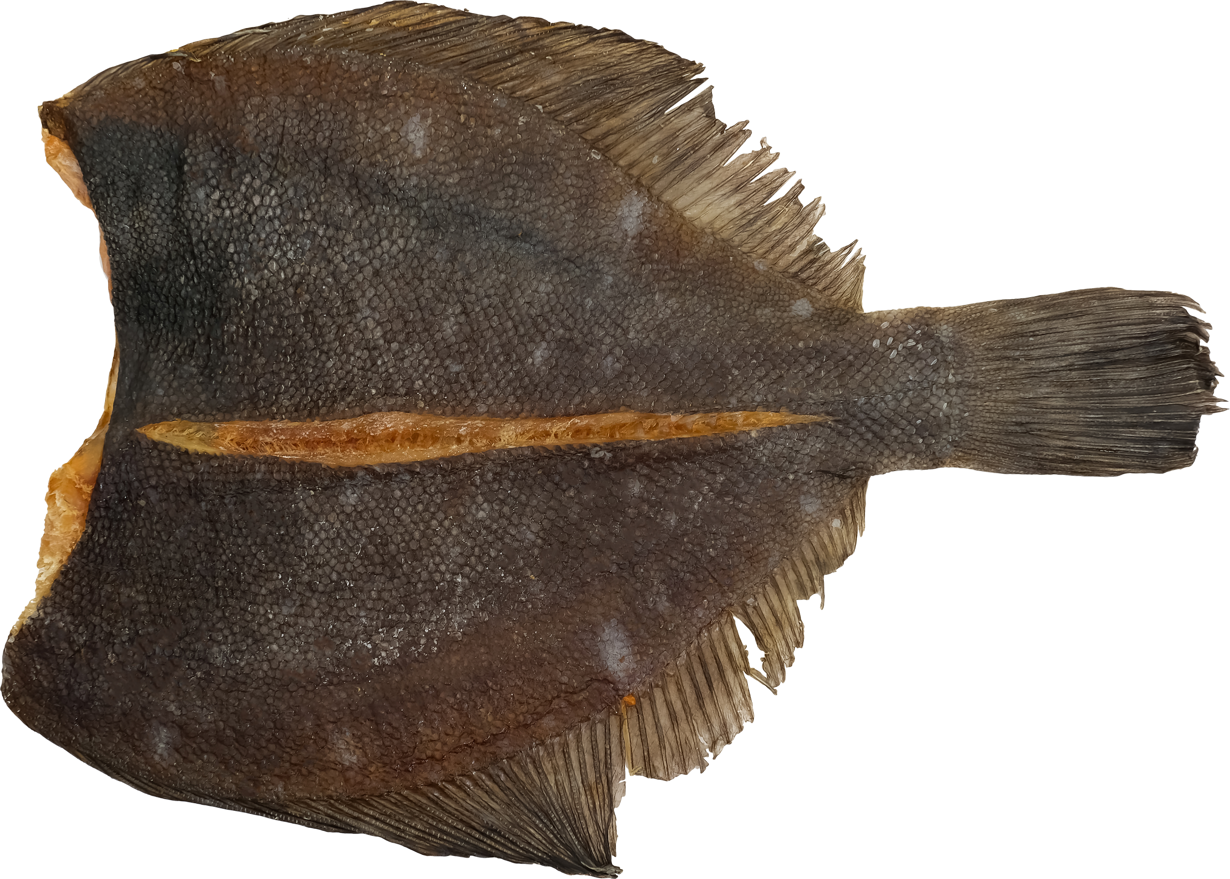 Изображение товара Камбала вяленая ОКЕАН 0 20 кг натуральная закуска