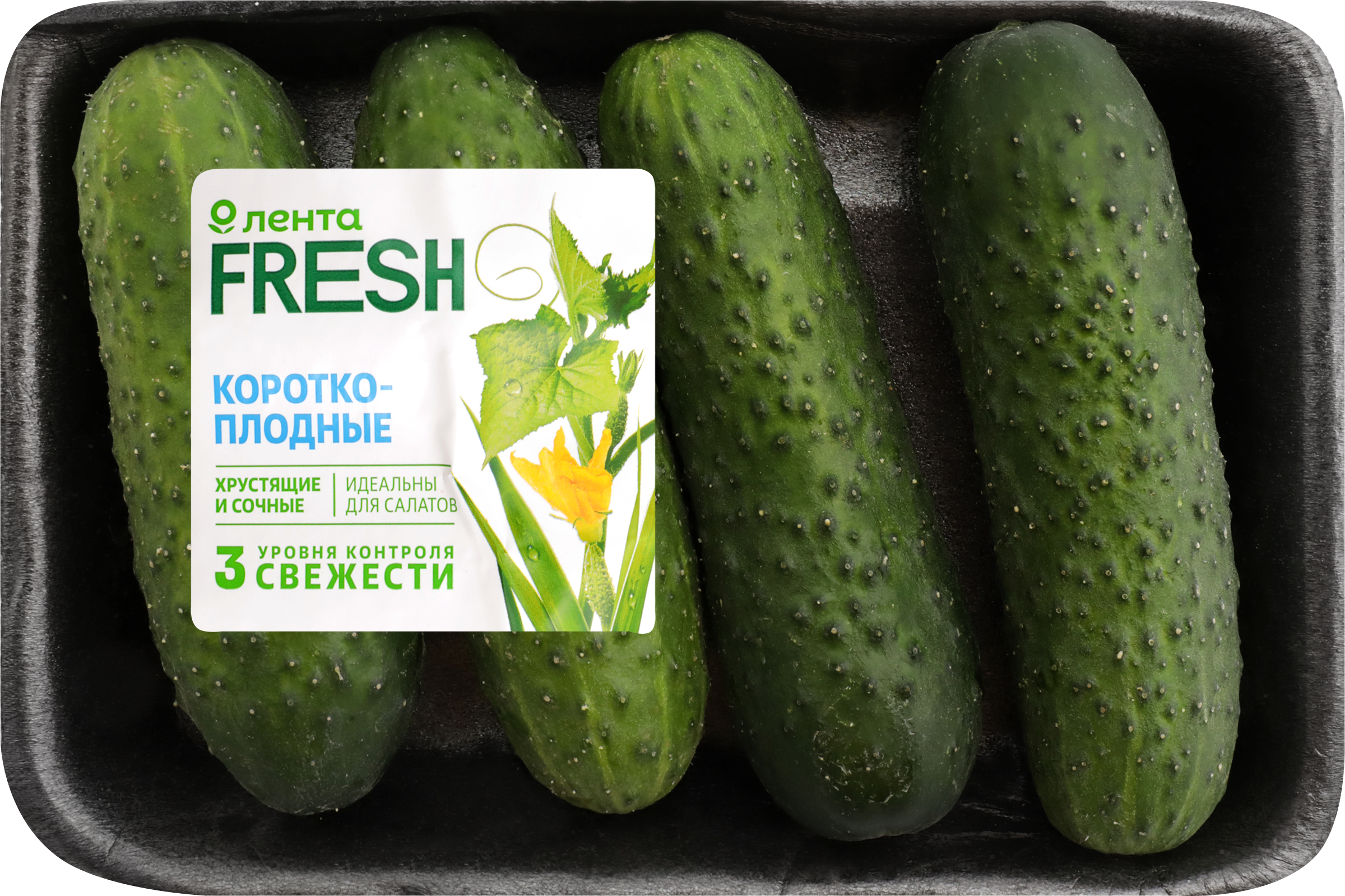 Изображение товара Огурцы короткоплодные ЛЕНТА FRESH колючие 450г свежие хрустящие