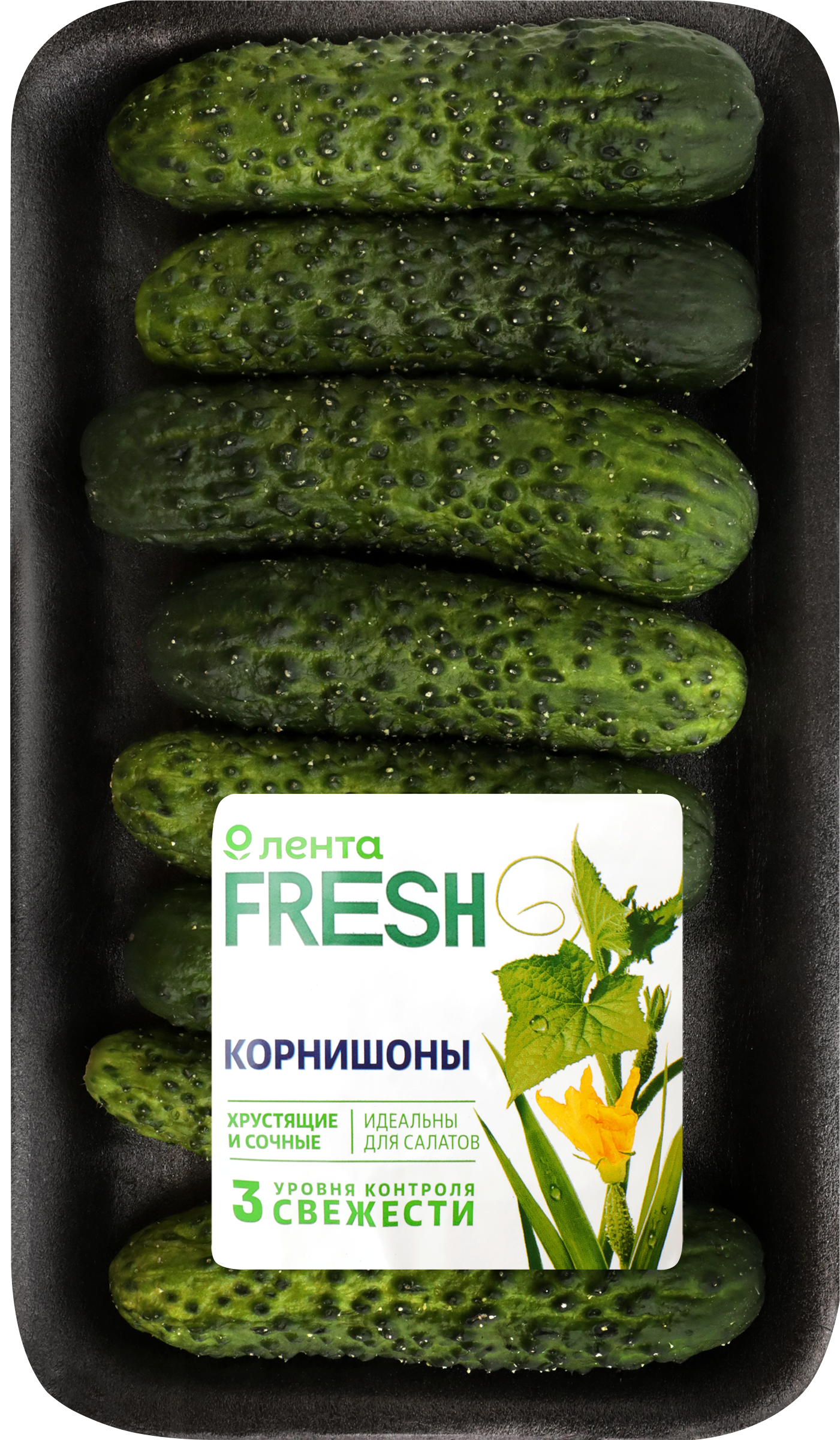 Изображение товара Огурцы ЛЕНТА FRESH корнишоны 300г свежие и вкусные
