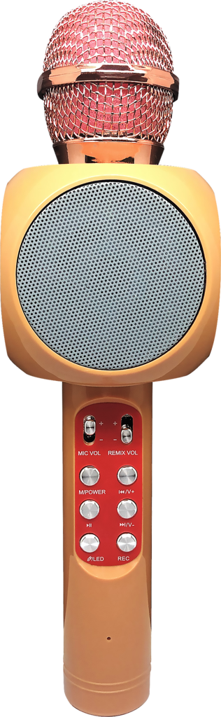 Изображение товара Микрофон для караоке LENTEL C-BKQ20