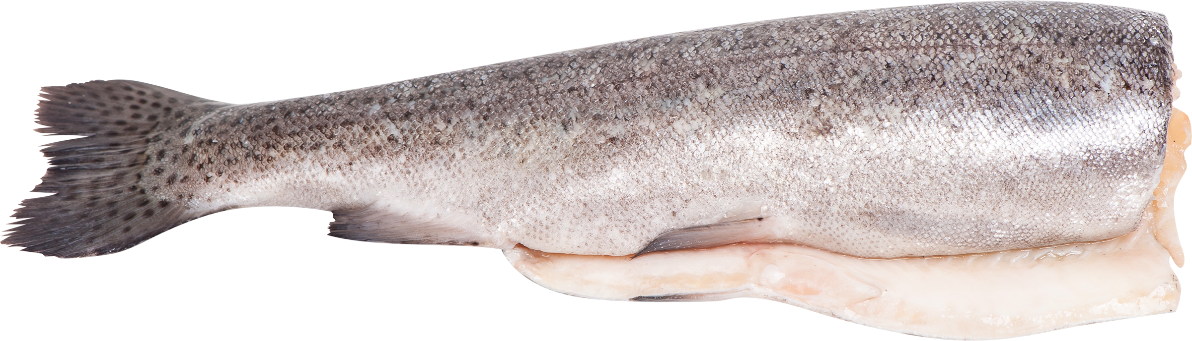 Изображение товара Кета замороженная ЛЕНТА FRESH потрошеная без головы 899.99 рублей