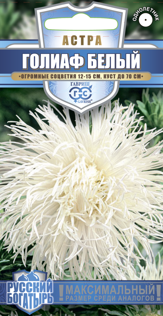 Изображение товара Семена астр Голиаф игольчатая белая 0,3г ГАВРИШ для оформления участка