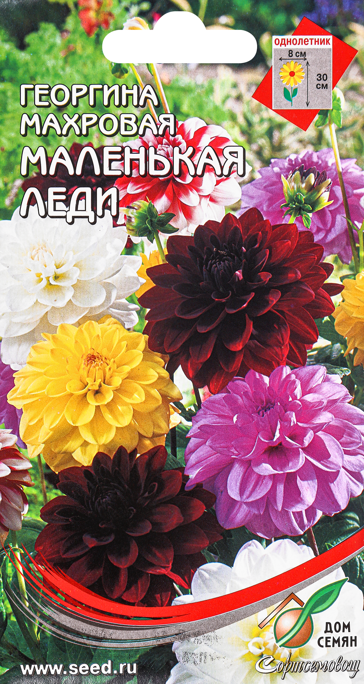 Изображение товара Семена Семена ДОМ СЕМЯН Георгина Маленькая леди, 15шт