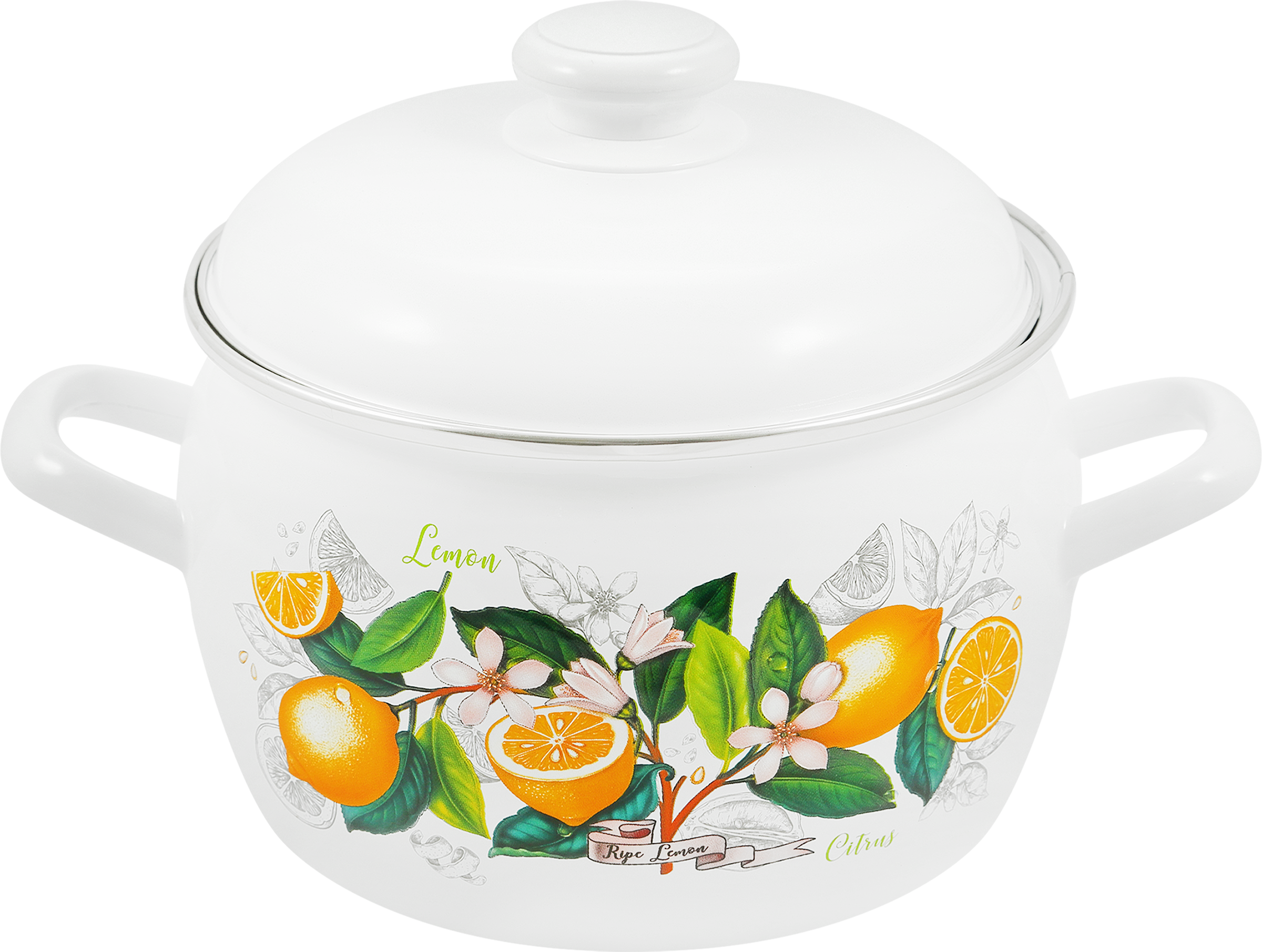 Изображение товара Кастрюля с крышкой ЛЫСЬВЕНСКИЕ ЭМАЛИ Белые ночи, сфера, эмалированная сталь 3.5л Арт. С-4213АП2/4