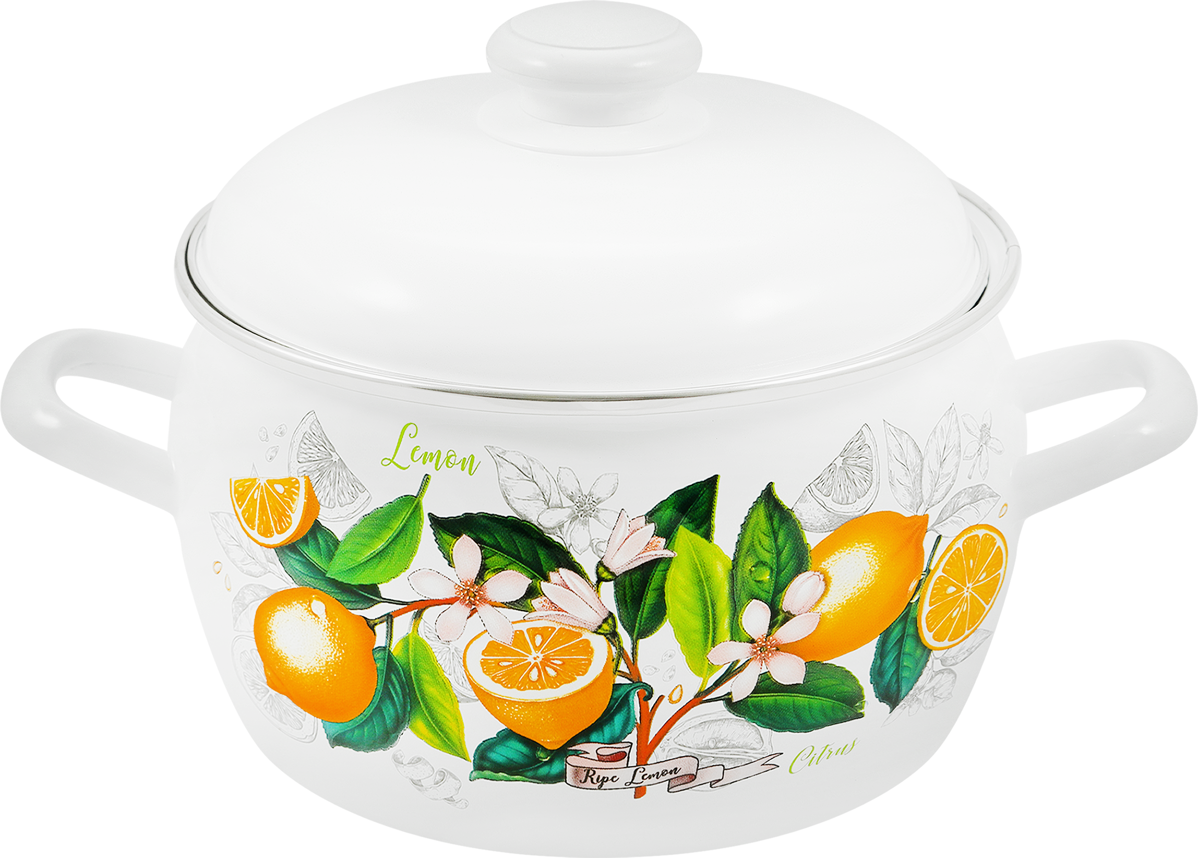 Изображение товара Кастрюля с крышкой ЛЫСЬВЕНСКИЕ ЭМАЛИ Белые ночи 5л эмалированная сталь