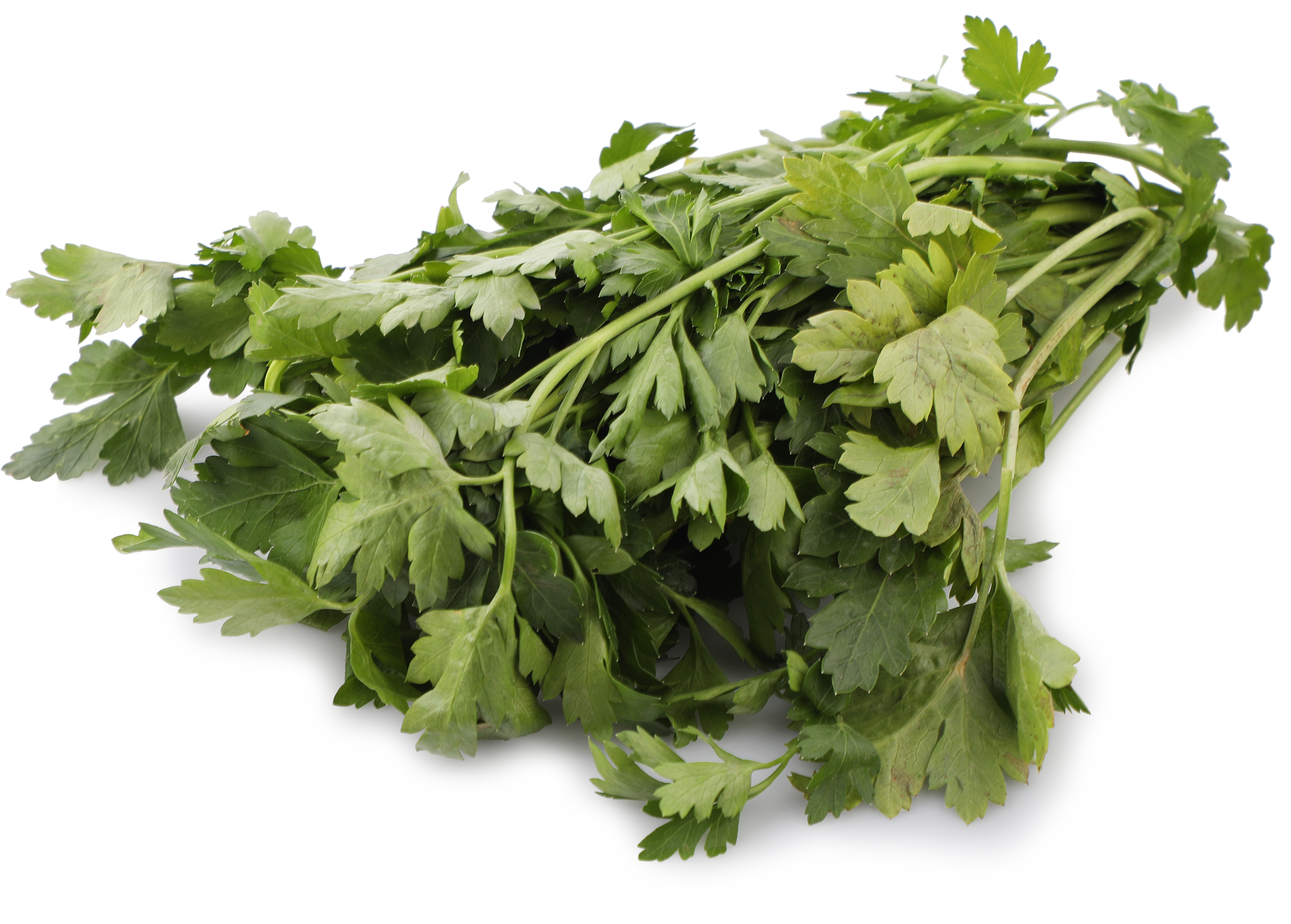 Изображение товара Свежая петрушка ЛЕНТА 100г - полезная зелень для кухни