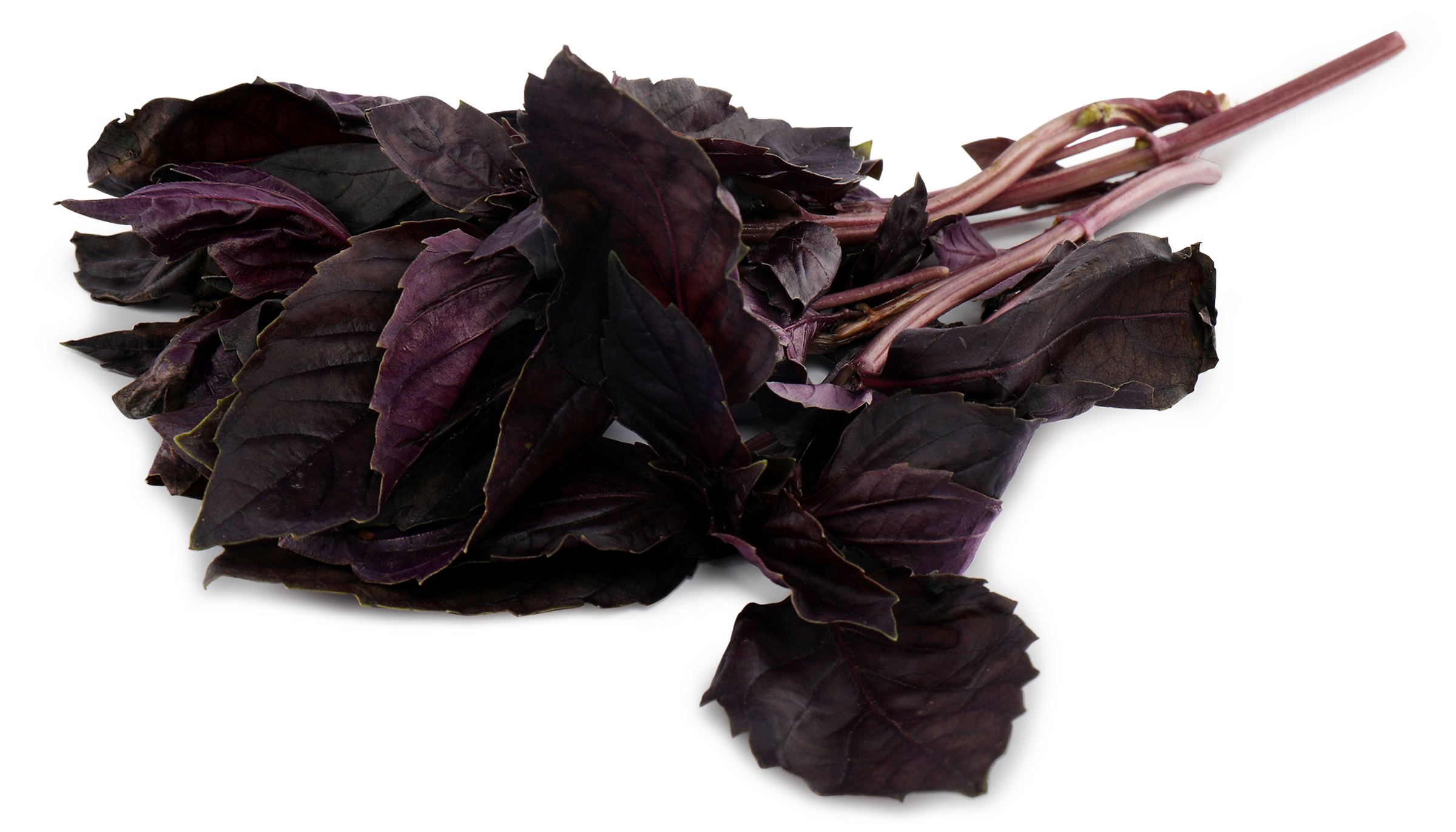 Изображение товара Базилик красный свежий 20г - ароматная пряная зелень для кухни