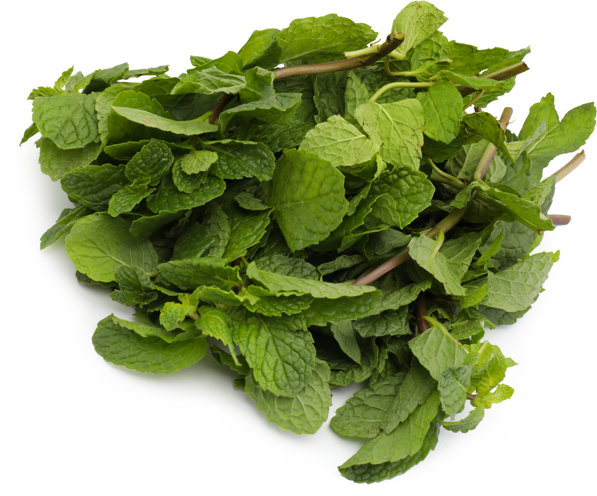 Изображение товара Мята свежая 50г - натуральная пряная зелень для кулинарии