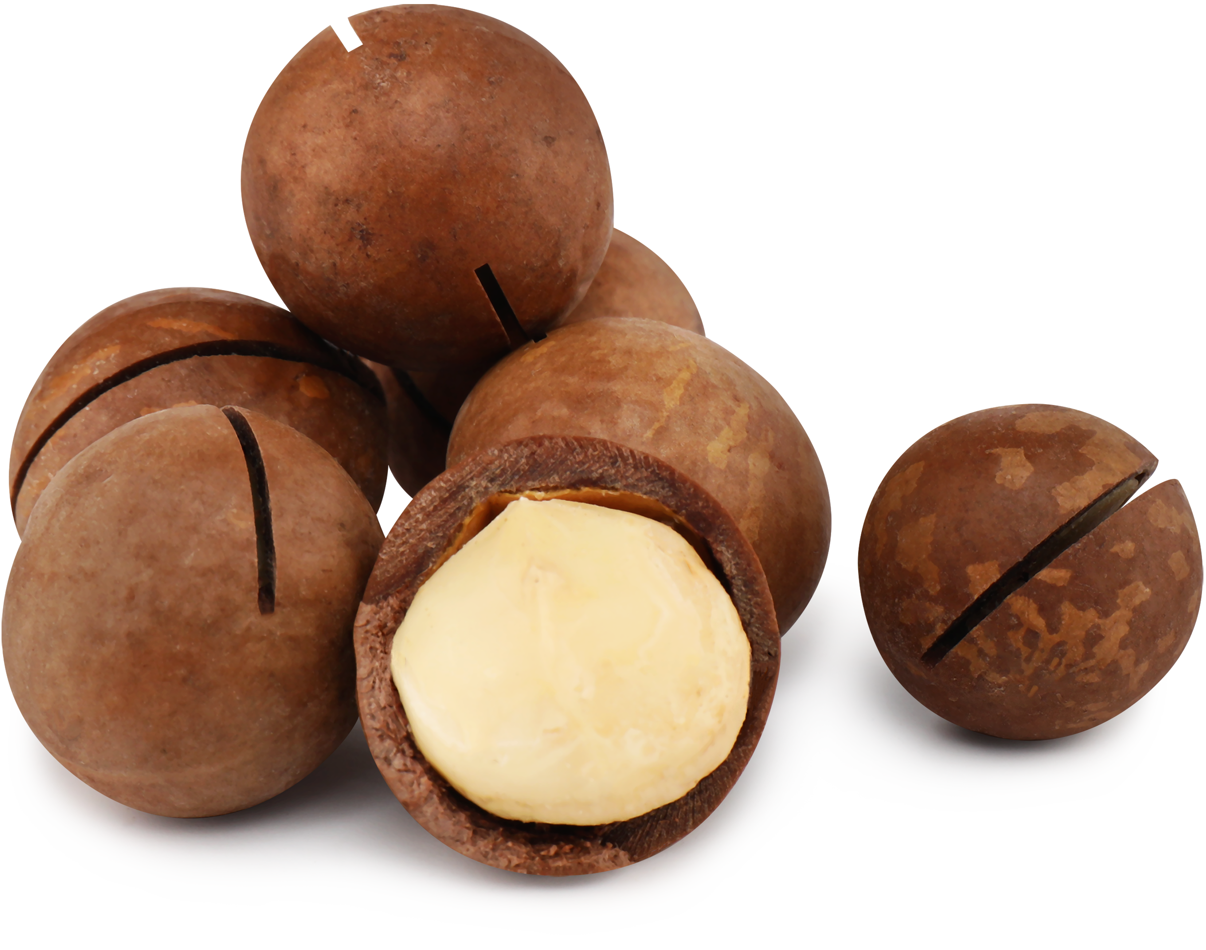 Изображение товара Орех Макадамия в скорлупе весовая жареная натуральный продукт