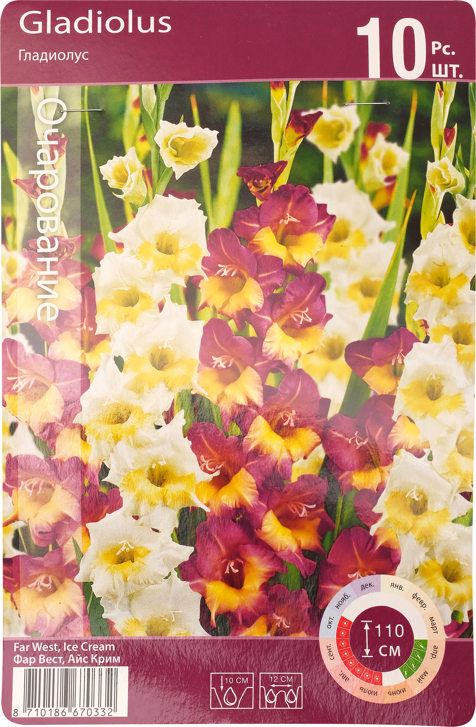 Изображение товара Гладиолус Ориент микс 10/12 - 10 луковиц (Фар Вест/Айс Крим)