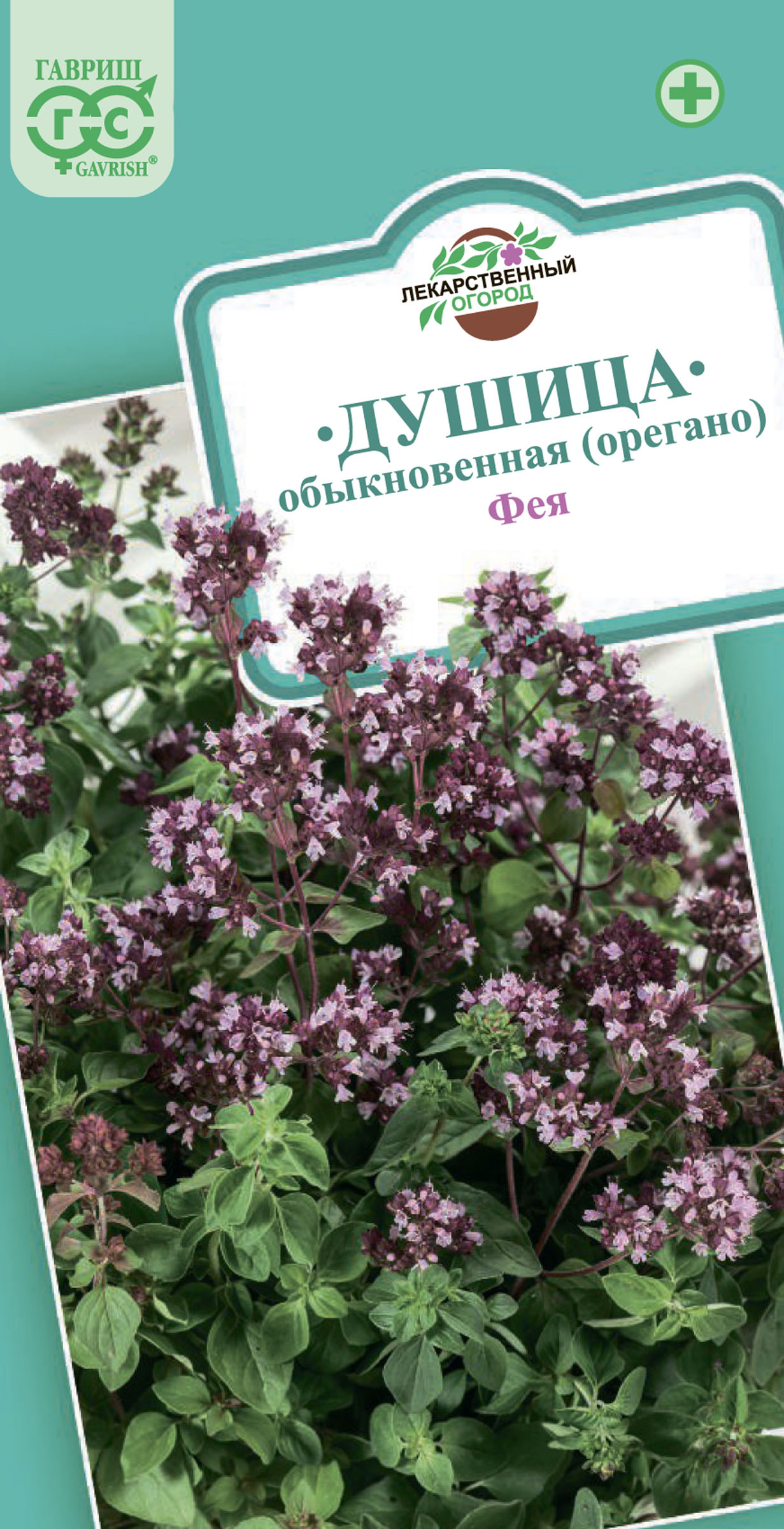 Изображение товара Семена ГАВРИШ Душица Орегано Фея 0,1г для выращивания ароматного растения