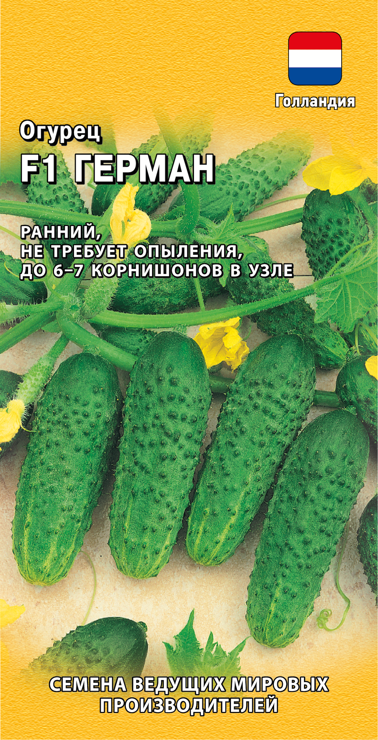 Изображение товара Семена ГАВРИШ Огурец корнишон Герман F1, Арт. 191224112, 5шт