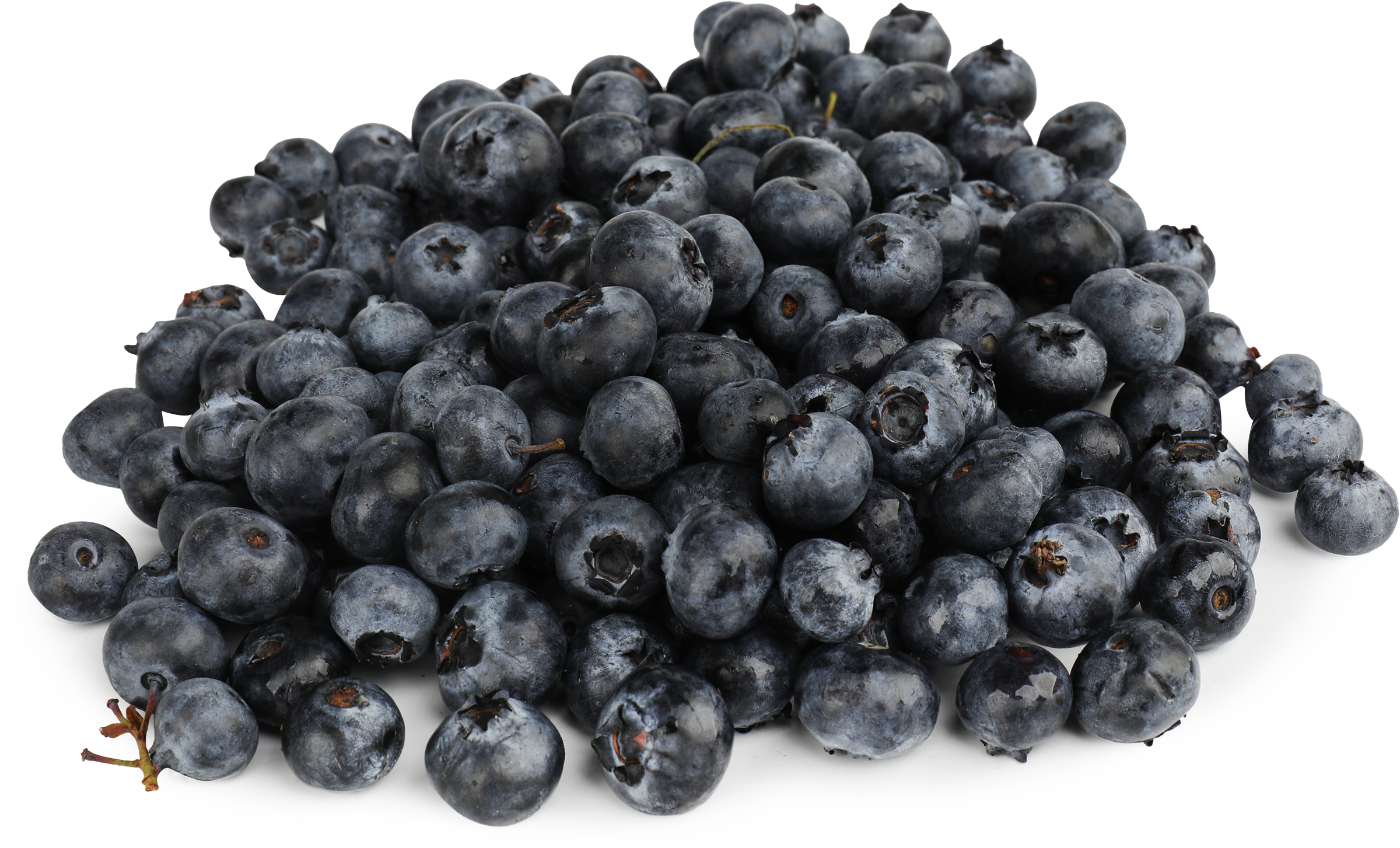 Изображение товара Голубика PREMIUM CLUB отборная свежая 200г лучший сорт вкусное и полезное лакомство